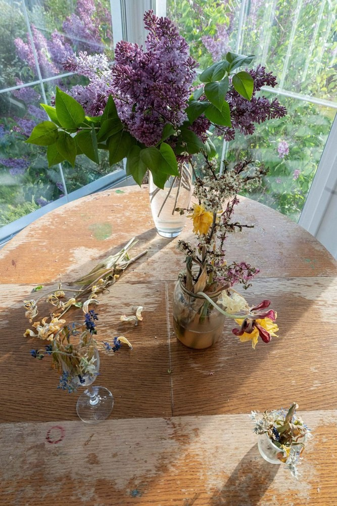 ФОТОсинтез. Могилевцева Дарья фотограф междисциплинарный художник