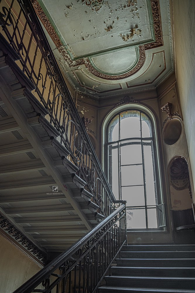 Парадная ар-нуво. Фотограф и искусствовед в Туле и Санкт-Петербурге Нелли Некрасова