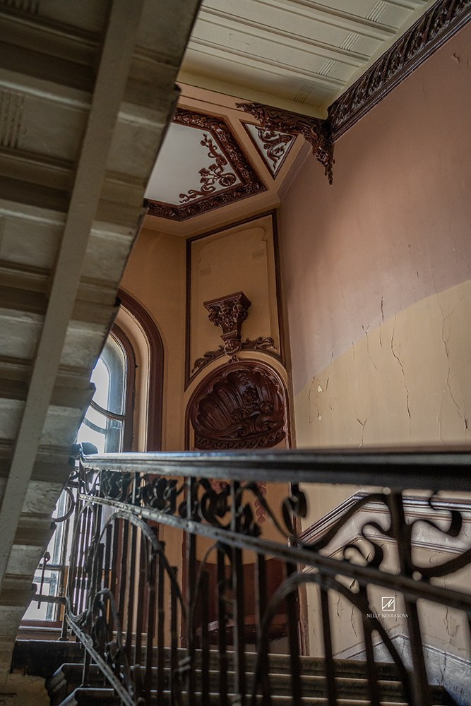 Парадная ар-нуво. Фотограф и искусствовед в Туле и Санкт-Петербурге Нелли Некрасова