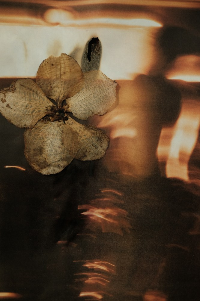 MEMORY BODY. VISUAL ARTIST. OLGA ZHDANOVA