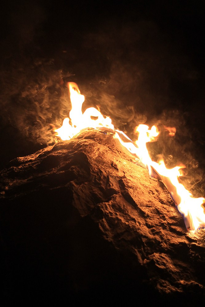 Сибирский путь. Julia Altukhova, multimedia artist