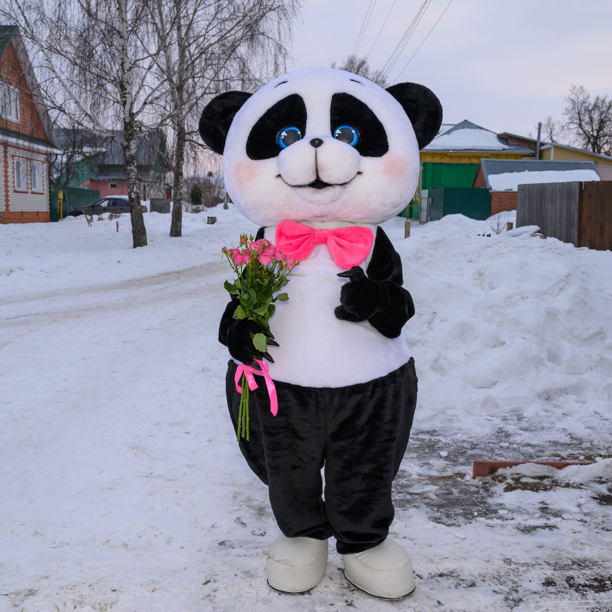 Поздравления от Мишки Тедди в Муроме