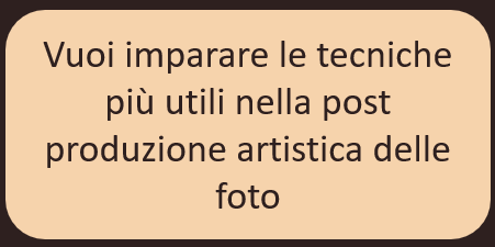 Lezioni di Elena Mikhailova. Fotografa Elena Mikhailova