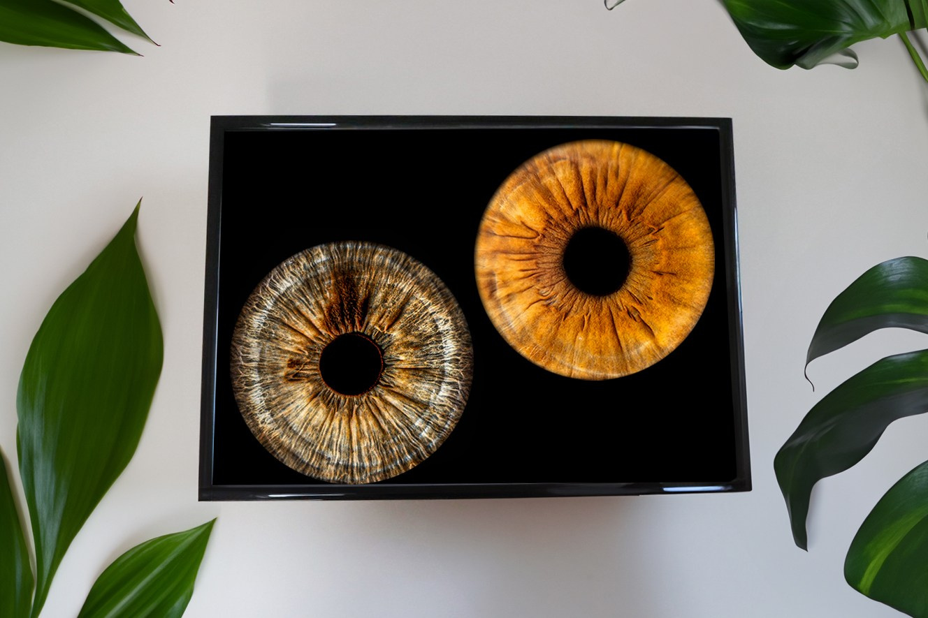 Услуги. Макро Фото радужки глаза в Зеленоградске