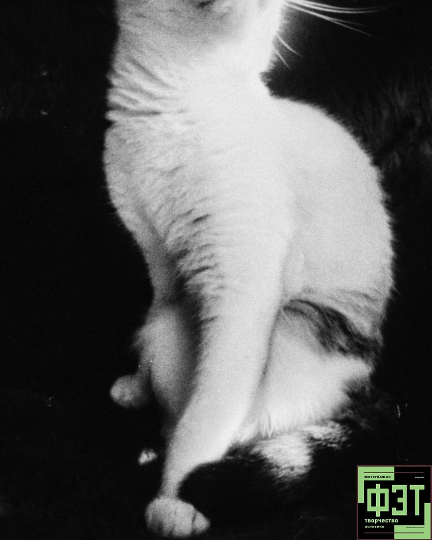 ФЭТ 04.11.25. Наталья Жукова. Курсы фотографии