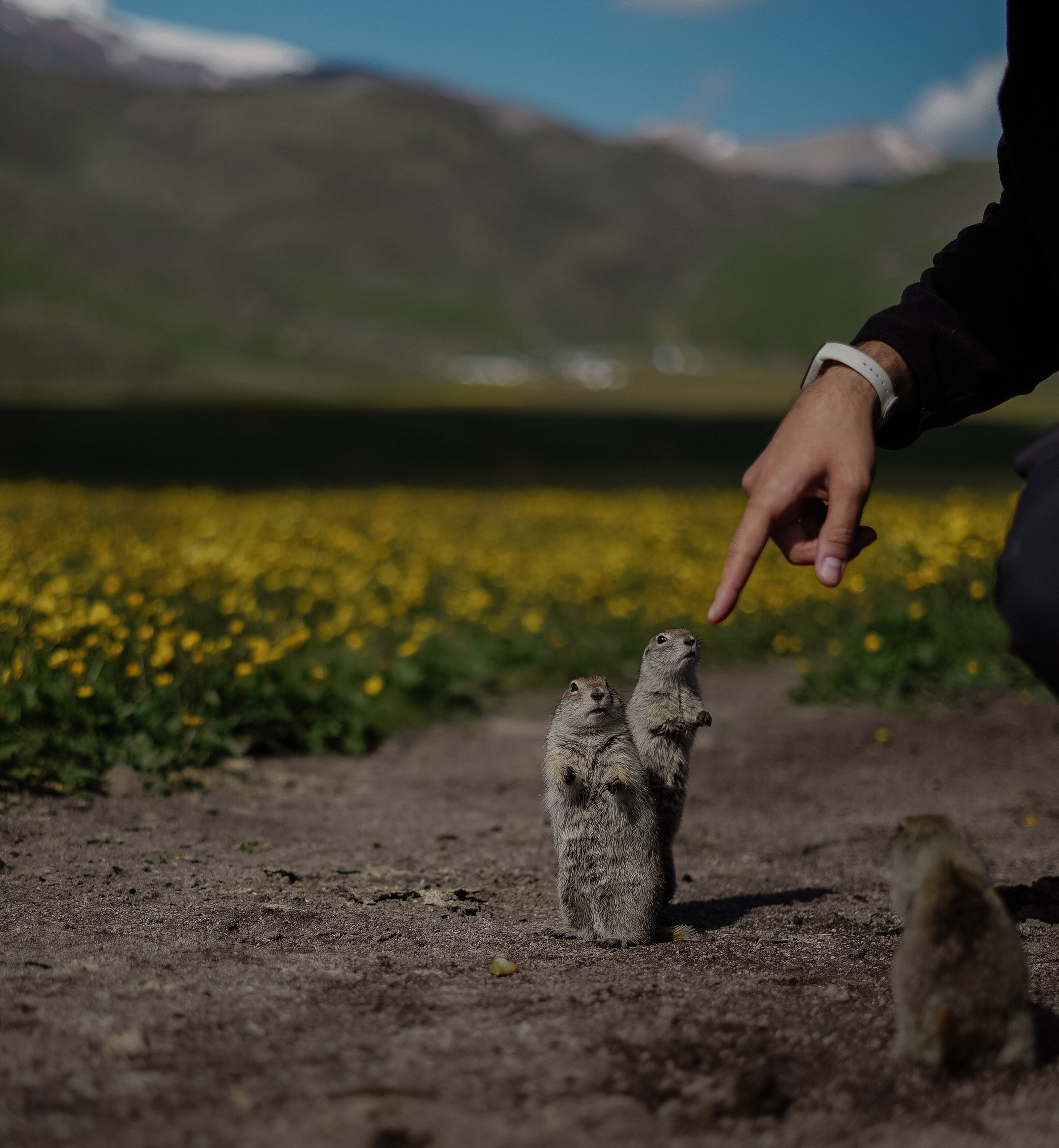Треккинговые маршруты в Приэльбрусье. Фотограф Ольга Пучкова