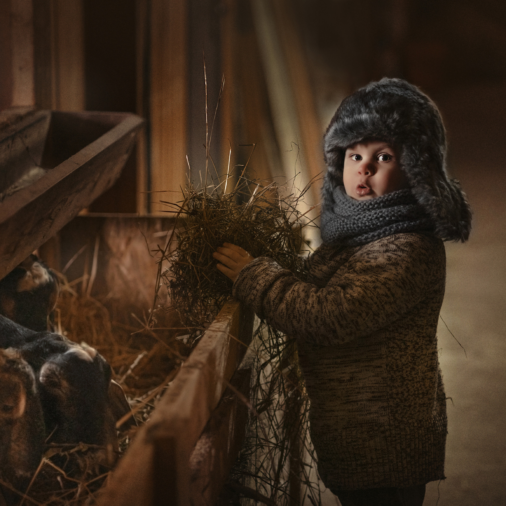 мальчик и козочки