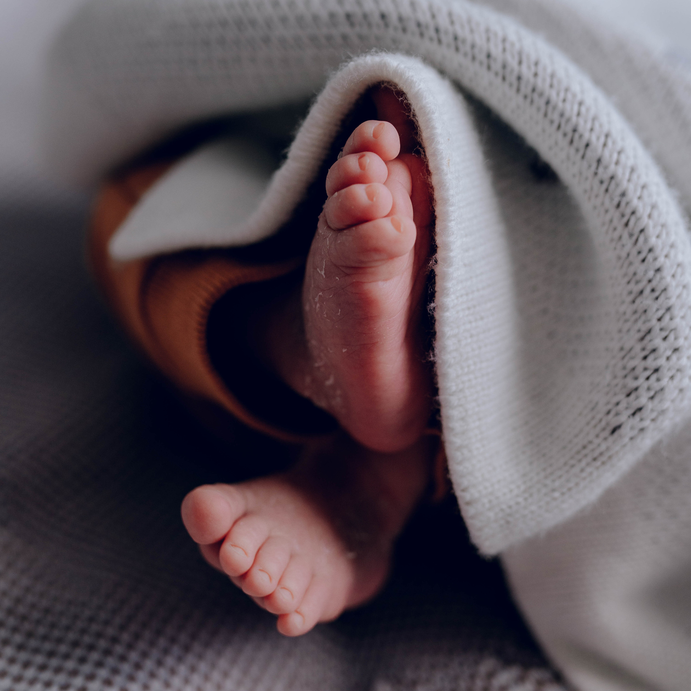 Контакты. Семейный фотограф в Москве Лилия Лебедева