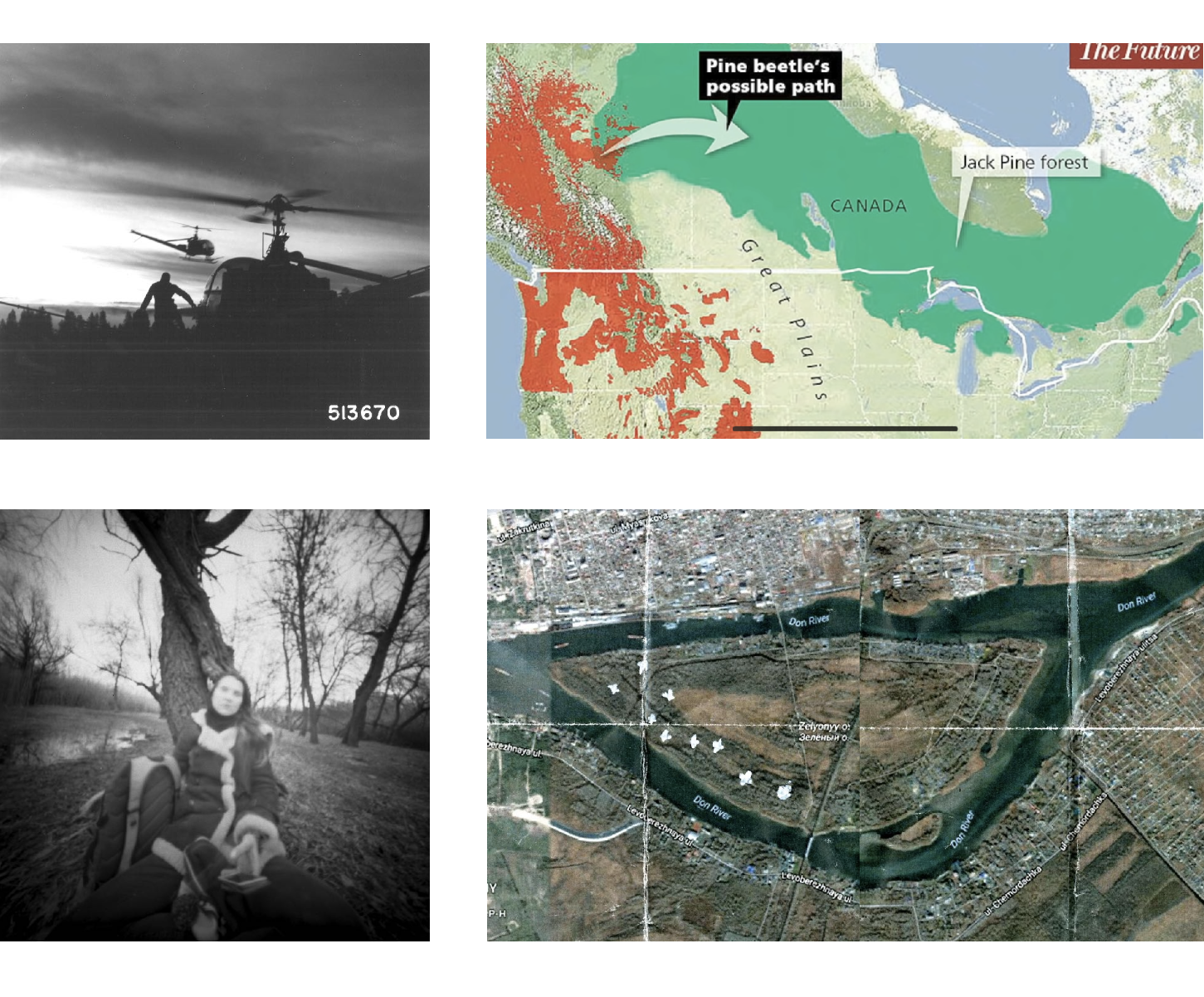 Beetlemania. Лера Круглова