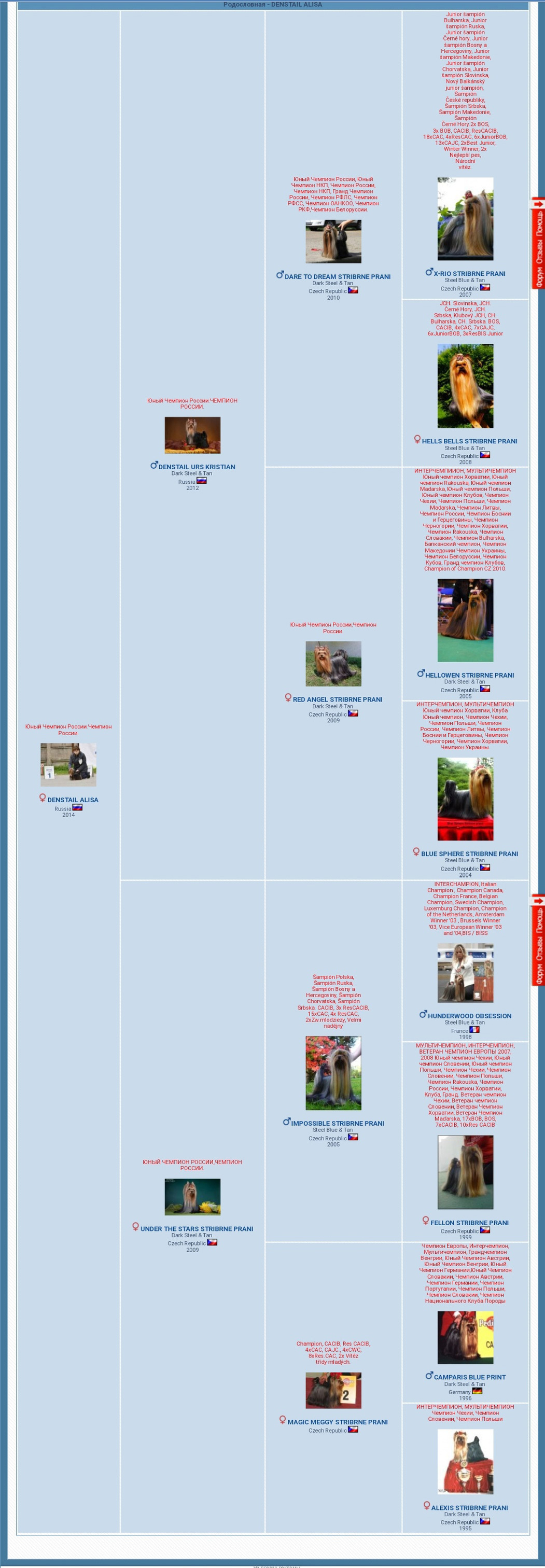 Дэнстайл Алиса. Питомник Йоркширских терьеров Дэнстайл в Санкт-Петербурге заводчик Тих