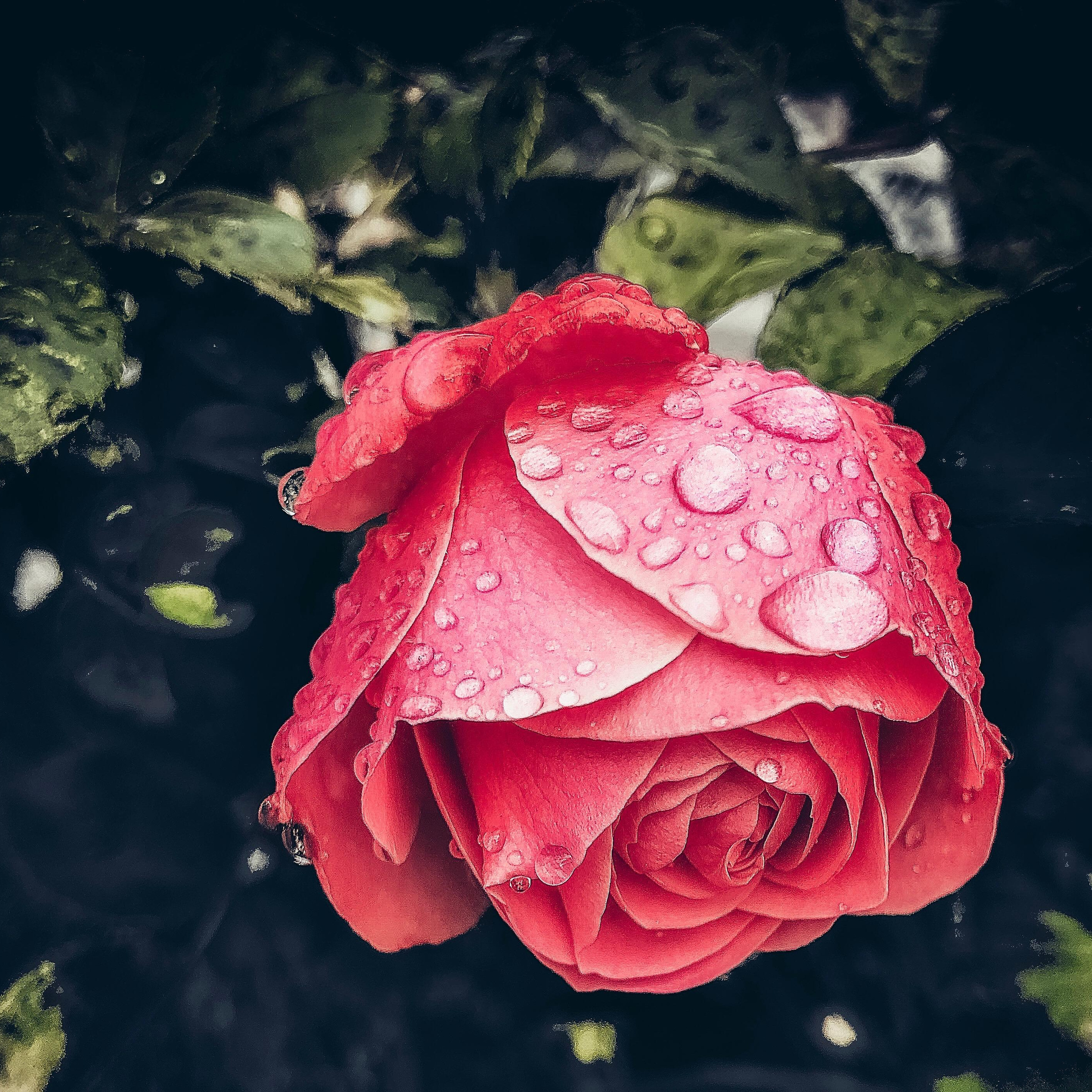 Услуги. Главная