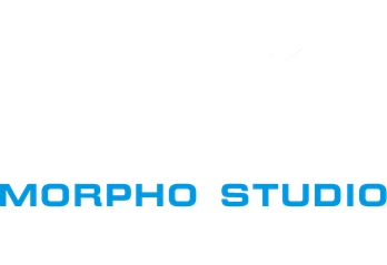 morpho-studio.ru