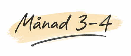 SEO. Arinstein Consulting digital byrå i Stockholm