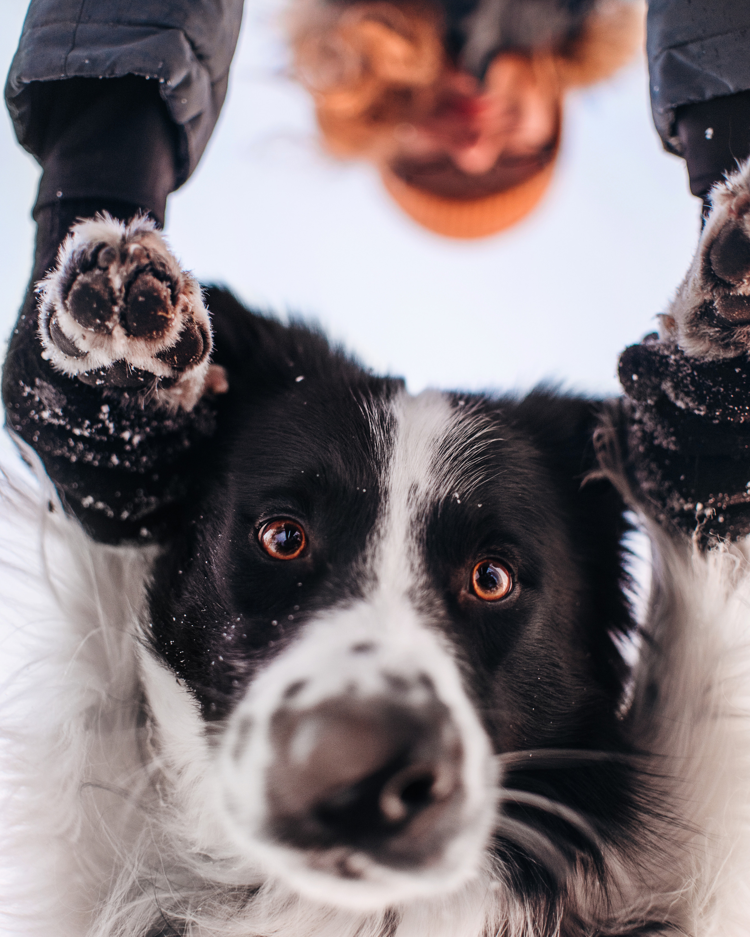 Прайс. Портфолио