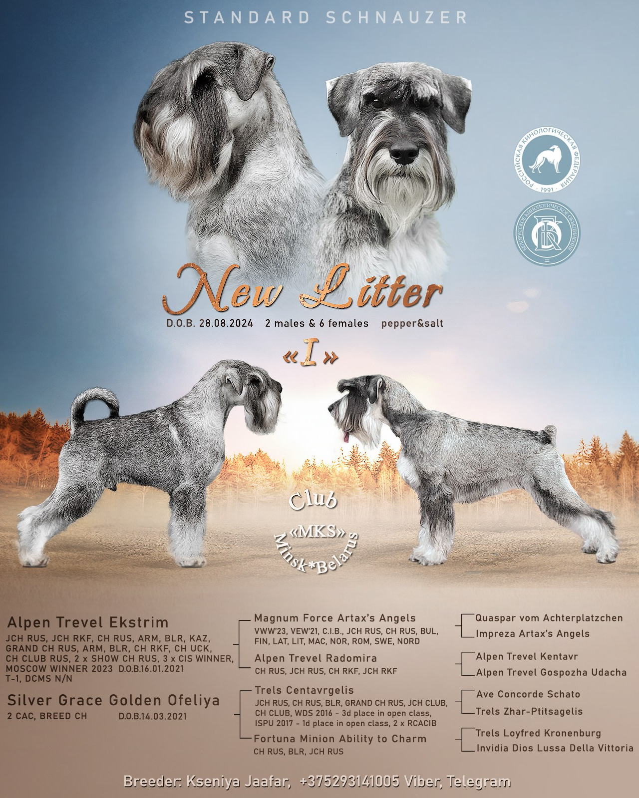 Фотограф — анималист в Туле Юлия Лето