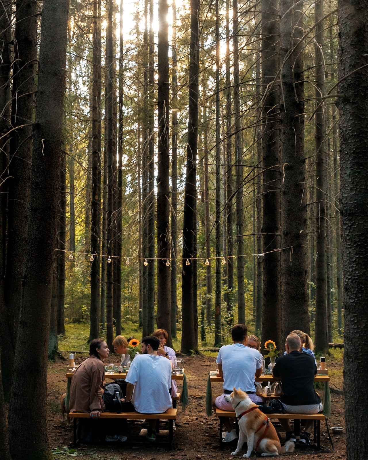 Жолудев Владислав. Night2Day Санкт-Петербург