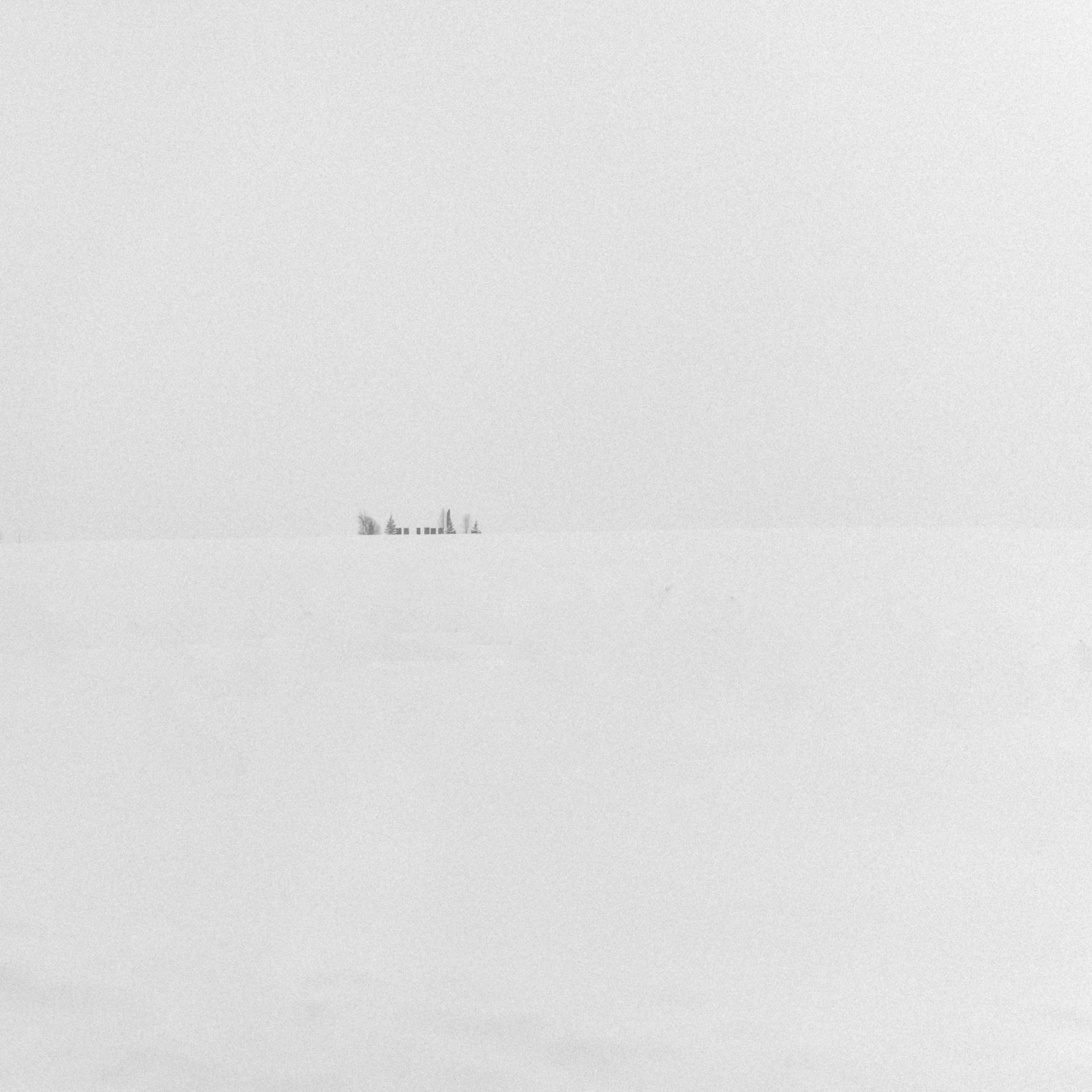 выставка 2025, выставка фотографии, выставка 2026, выставка зимней фотографии, выставка москва, фотовыставка