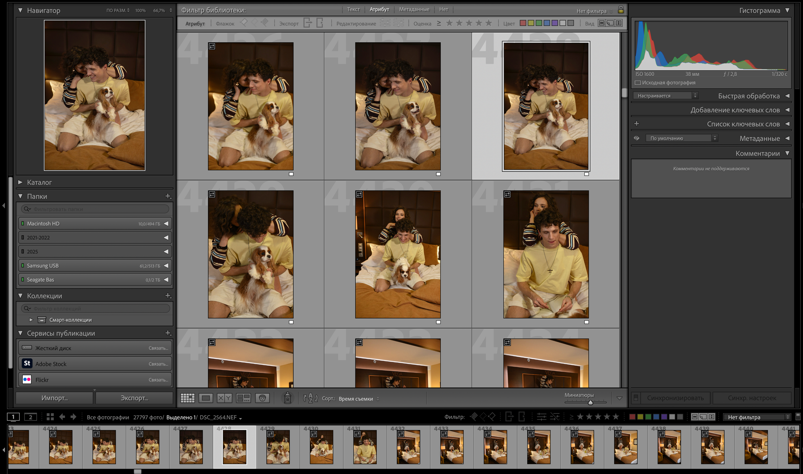 Исходники Лавстори с пиццей + собака