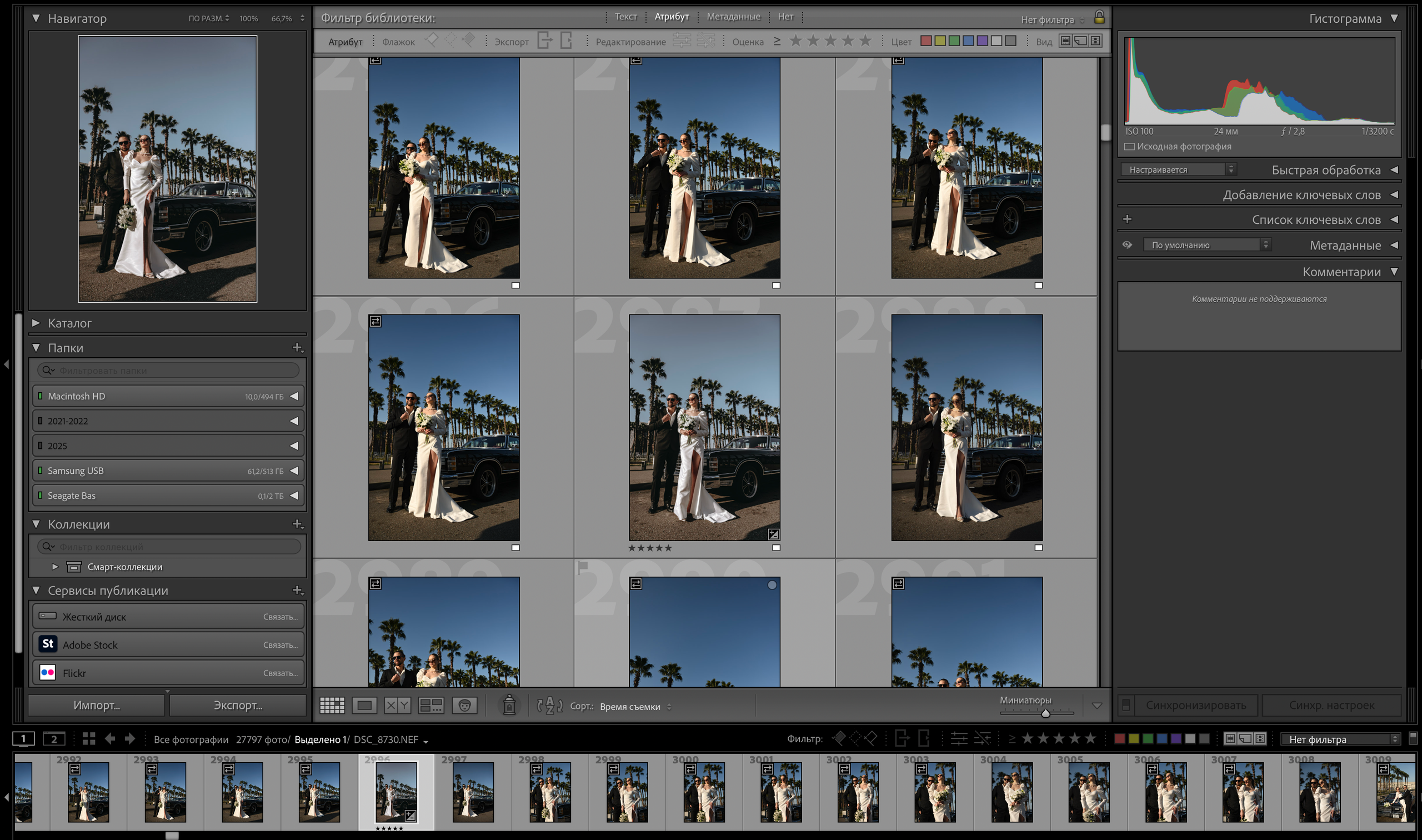Исходники Свадьба c машиной в аллее пальм