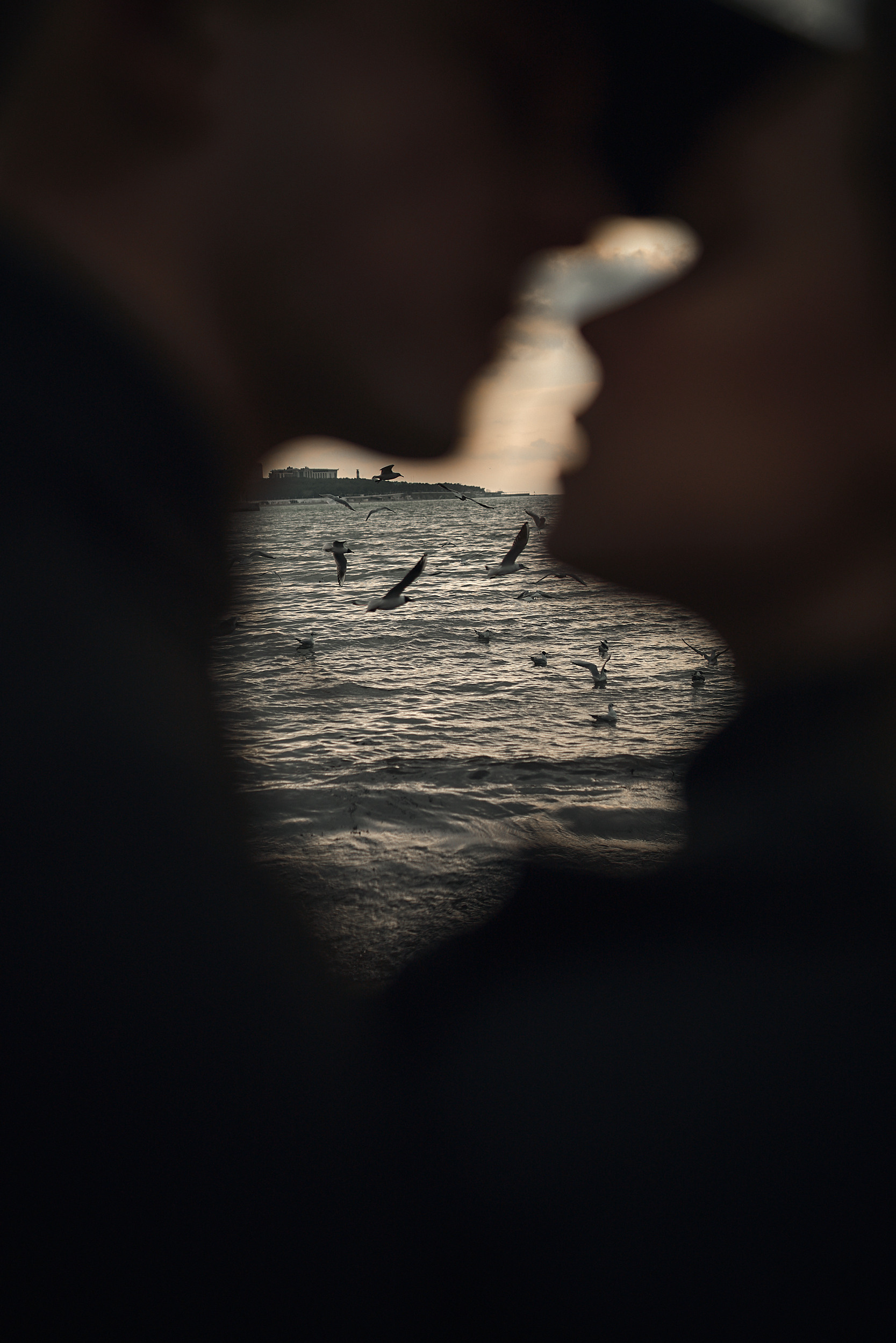 Фотосессии лав-стори в Сургуте. Свадебный фотограф в Сургуте Иванов Павел