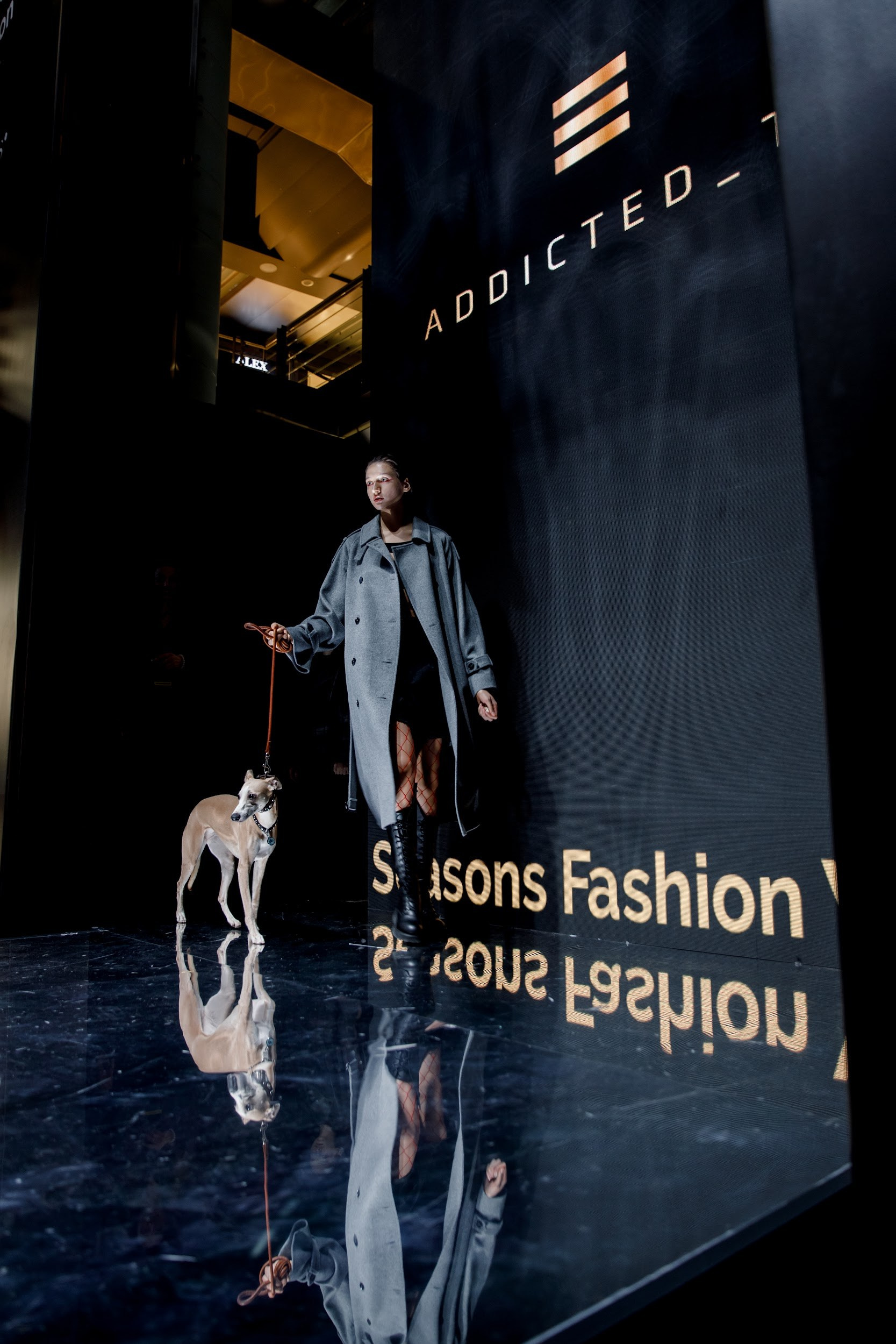 Fashion, показ мод