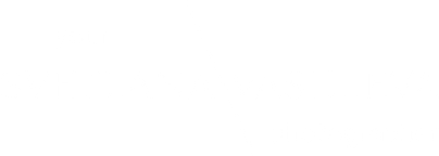 svetlanavasilieva.ru