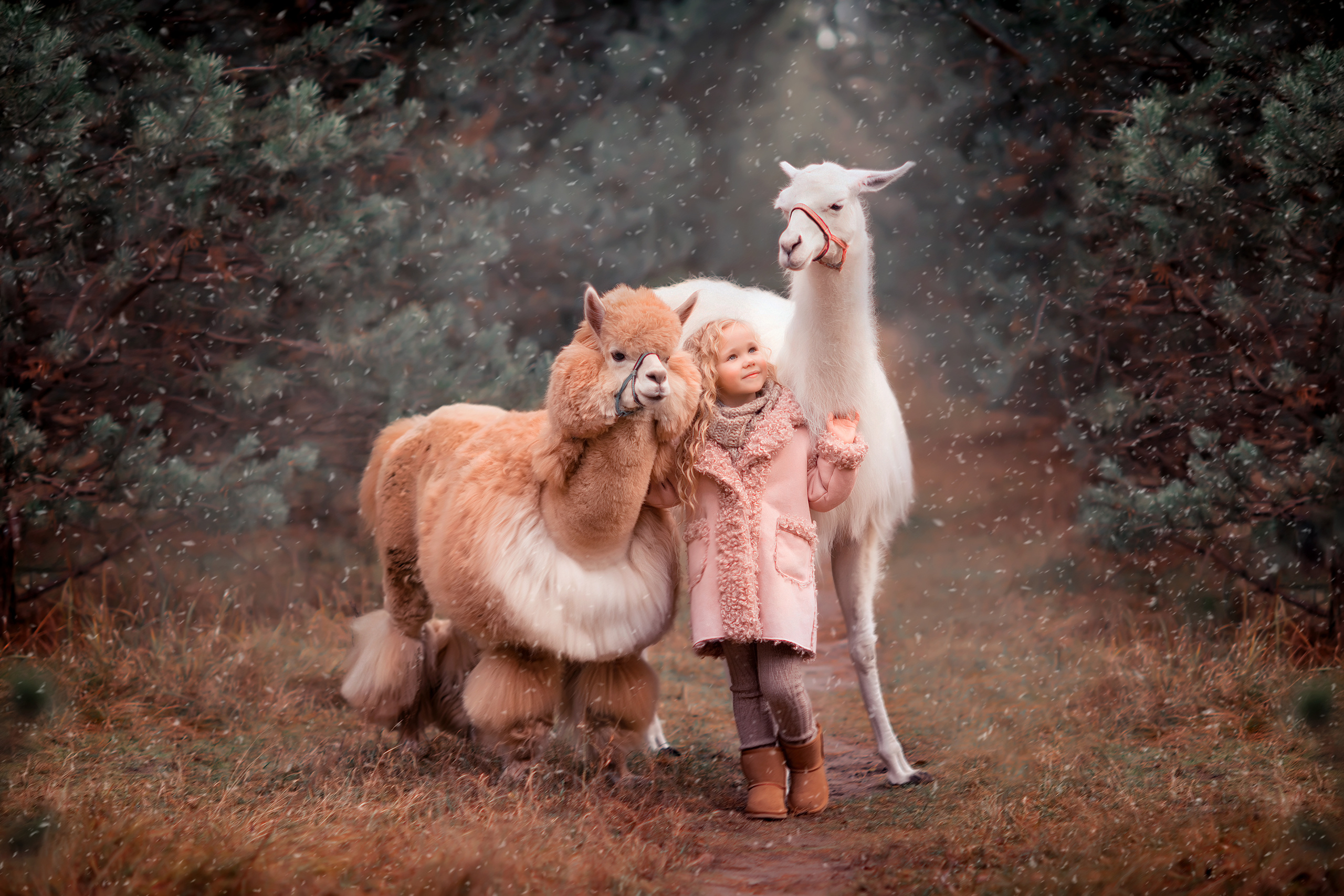 Обучение фото