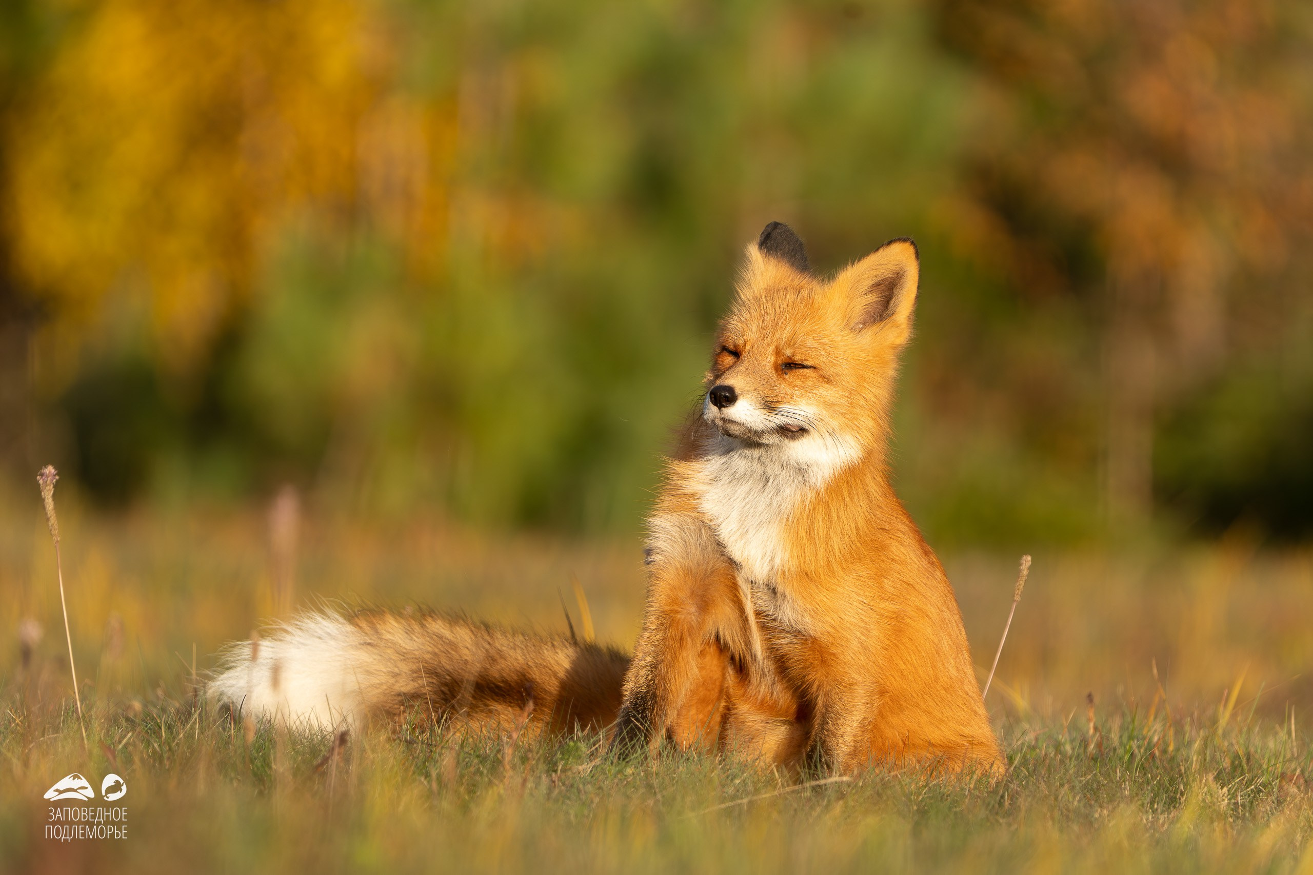 Фотограф Лубсан Чагдуров