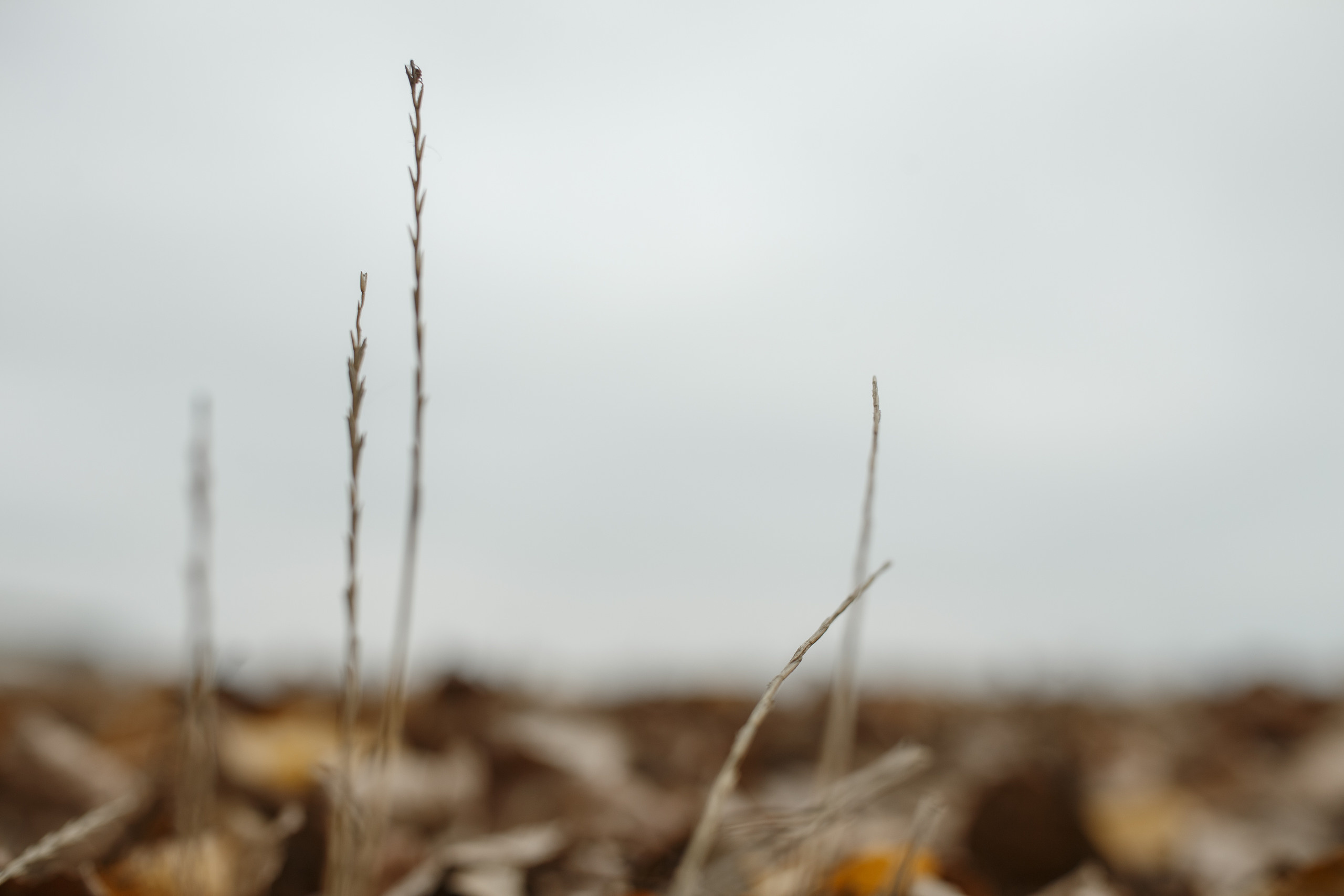 Свадебная прогулка красивой пары на берегу озера