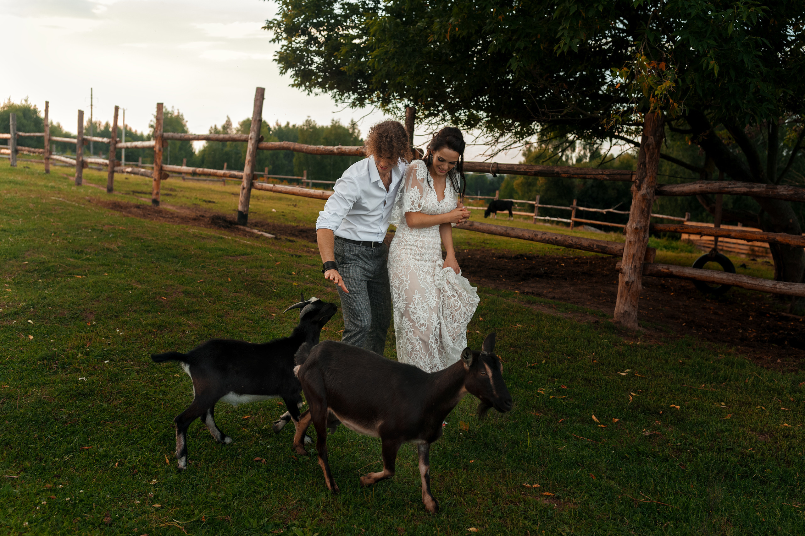 Фотосессия прекрасной пары на ферме среди лошадей