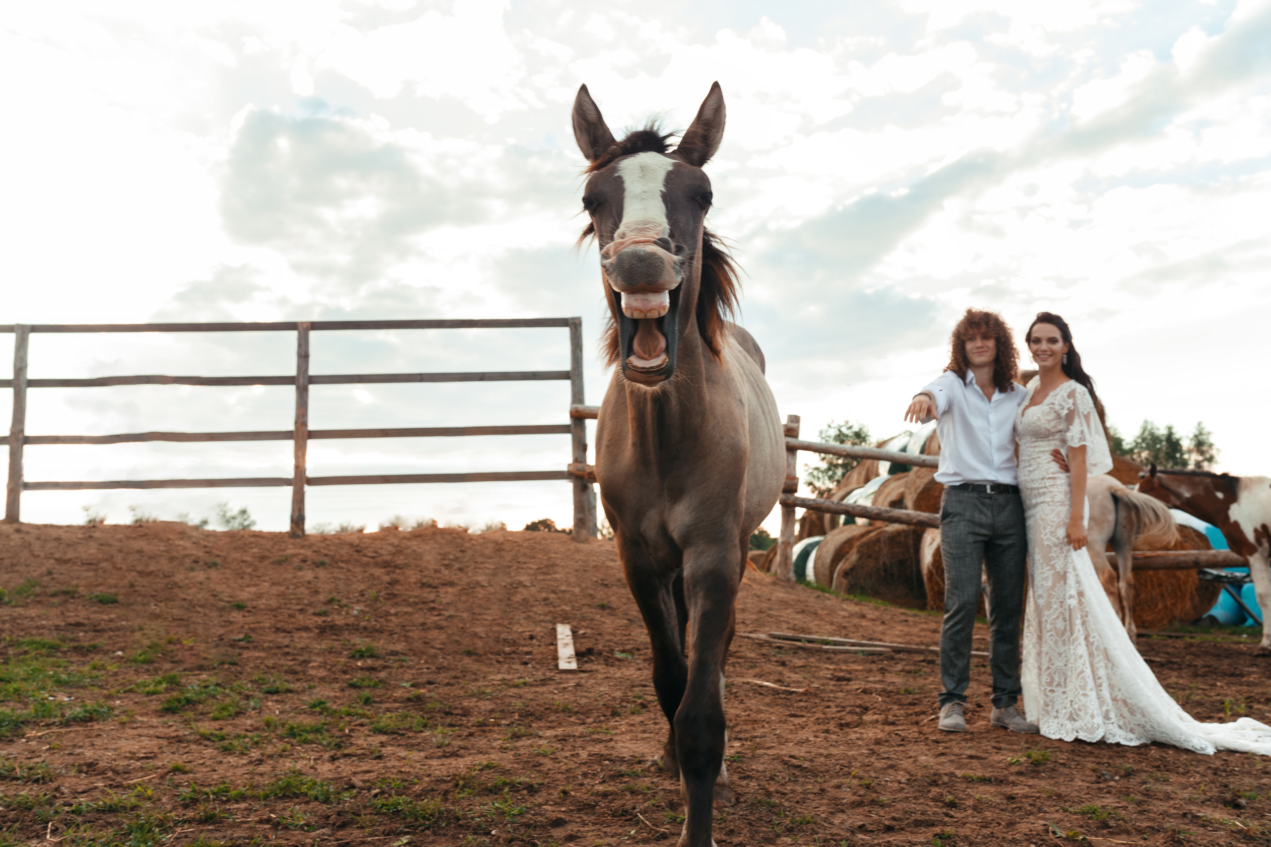 Фотосессия прекрасной пары на ферме среди лошадей