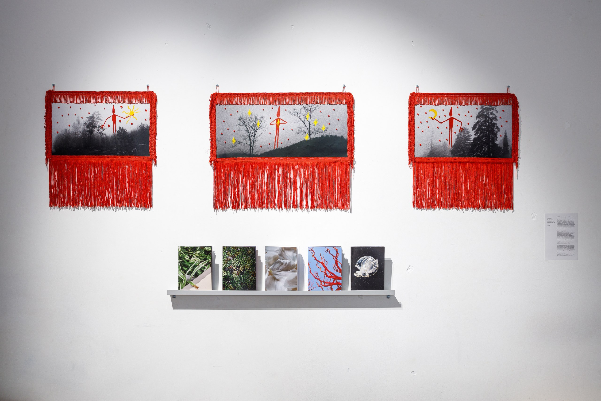 Бег во сне. Мария Ковалевская — фотохудожник