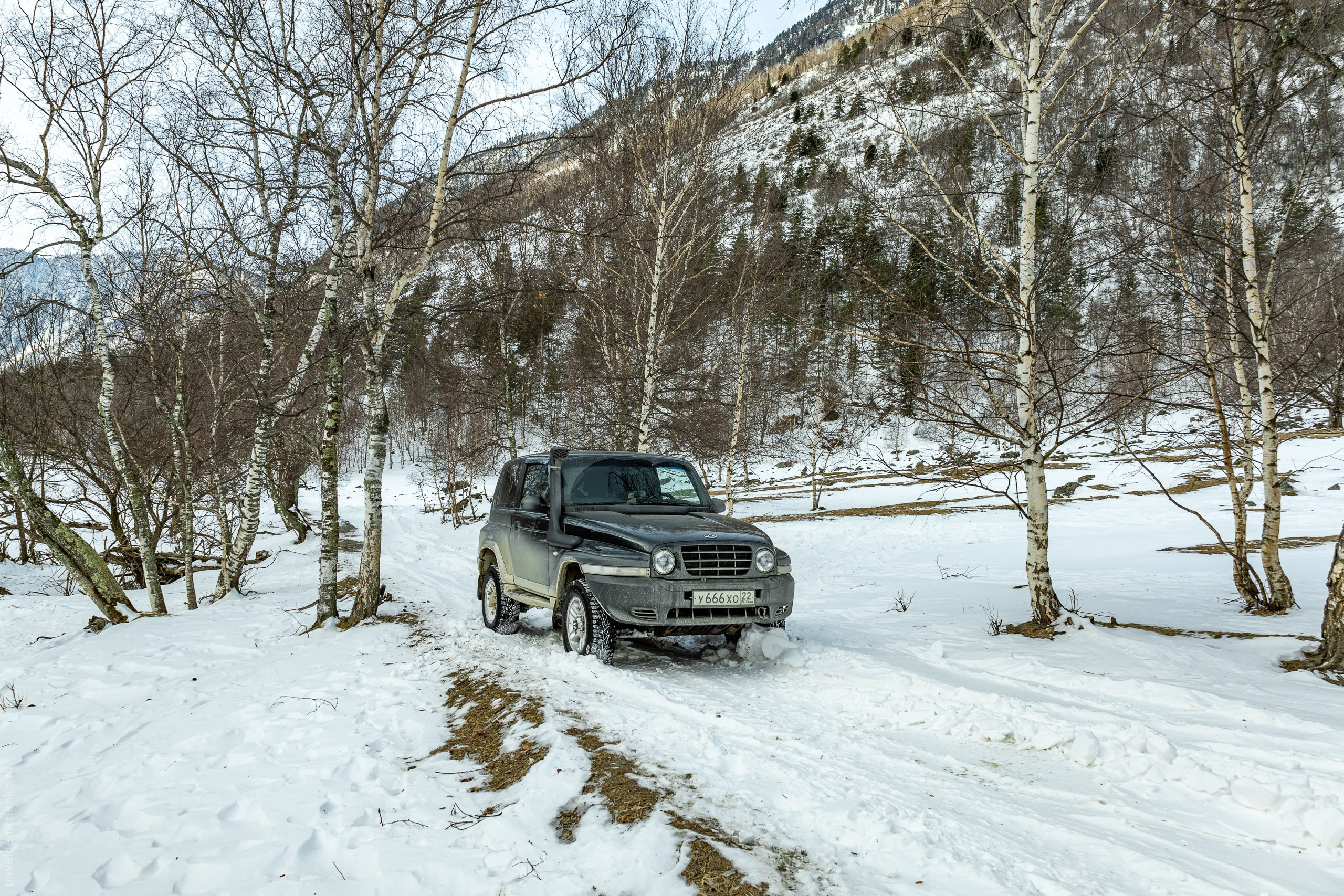 Весна в долине Чулышмана. Gennady Travel