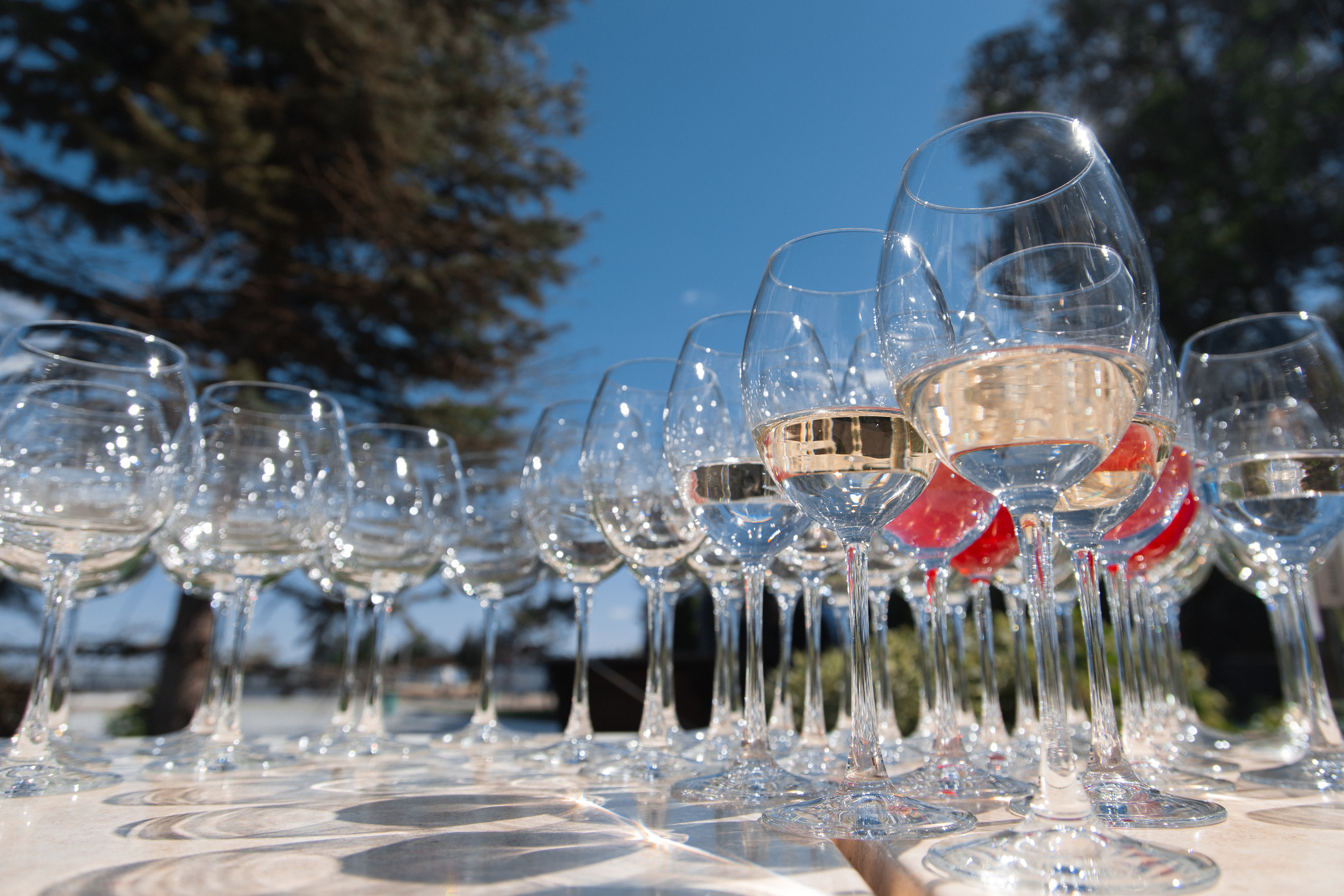 Артём и Валерия. Фотограф Александр Чешуин