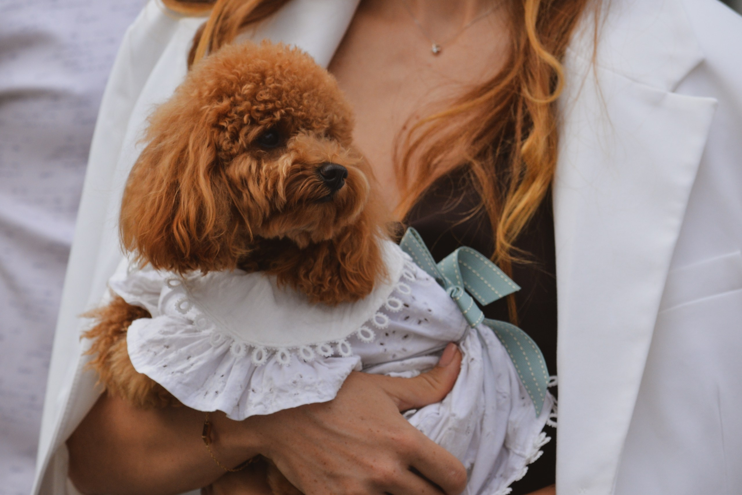 Услуги. Портретный и свадебный фотограф в Москве и области Юлиана Август