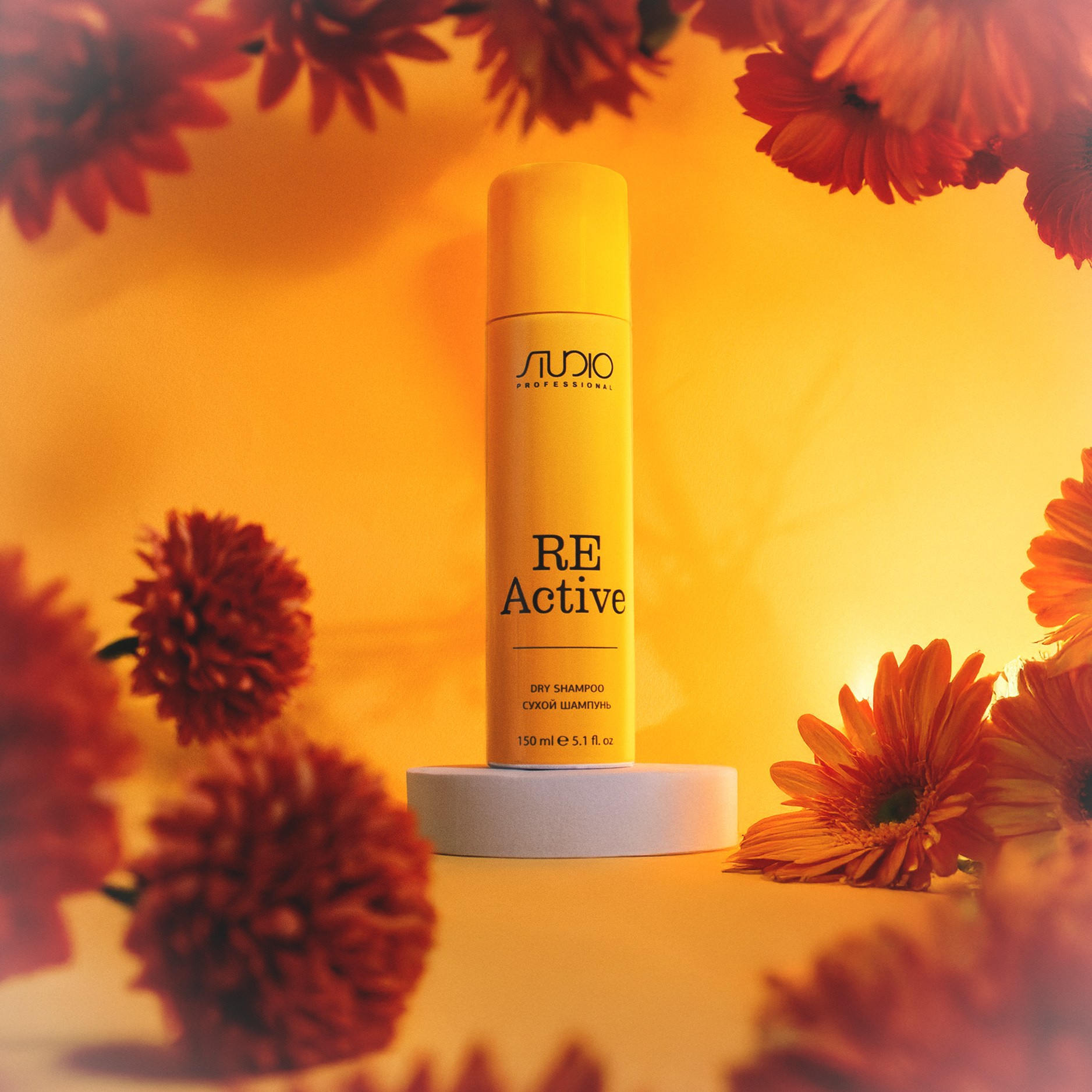 Солнечная серия. Фотограф из Москвы — DASHA NOVA | Авторская фотография в разных жанрах