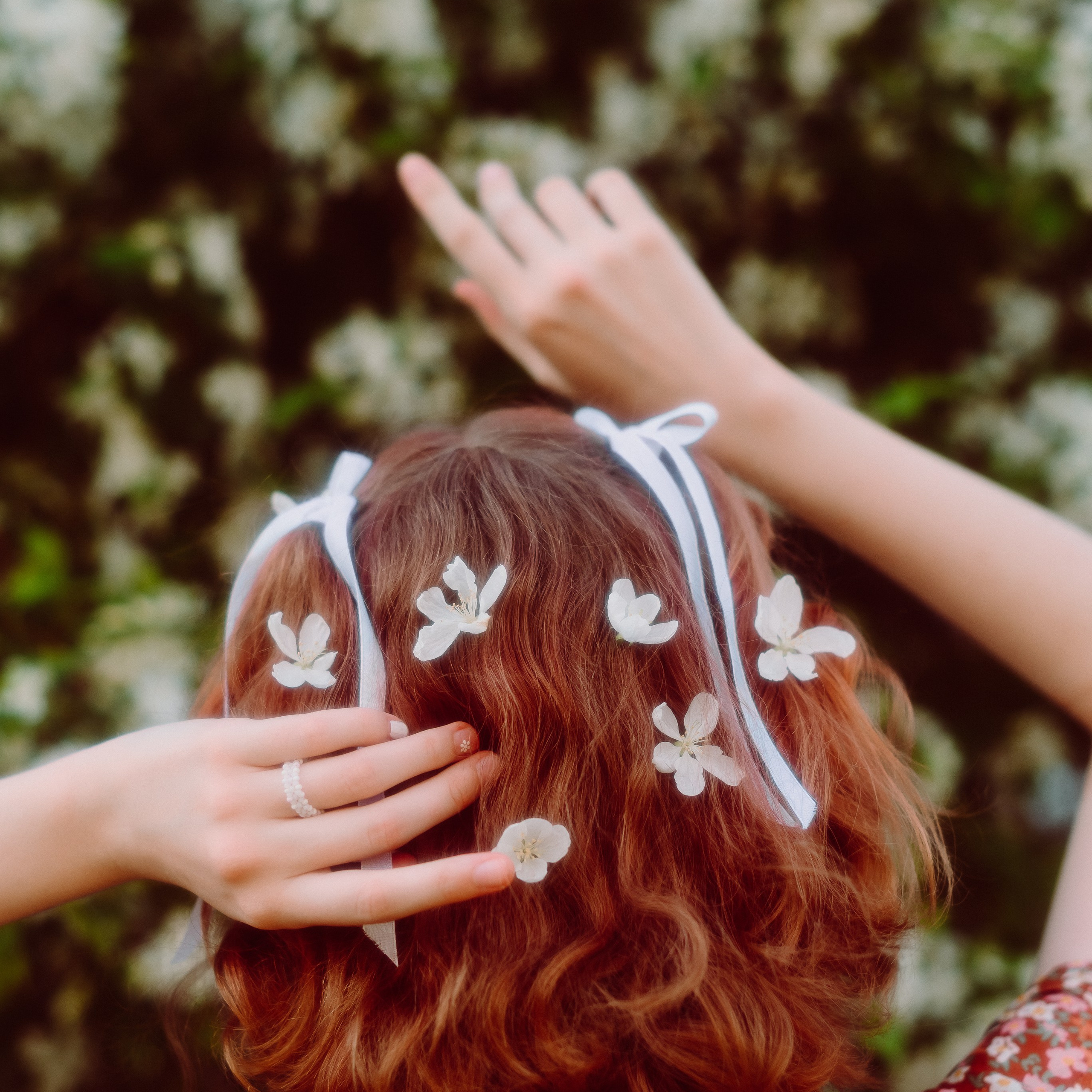 Фотосессия цветения яблонь