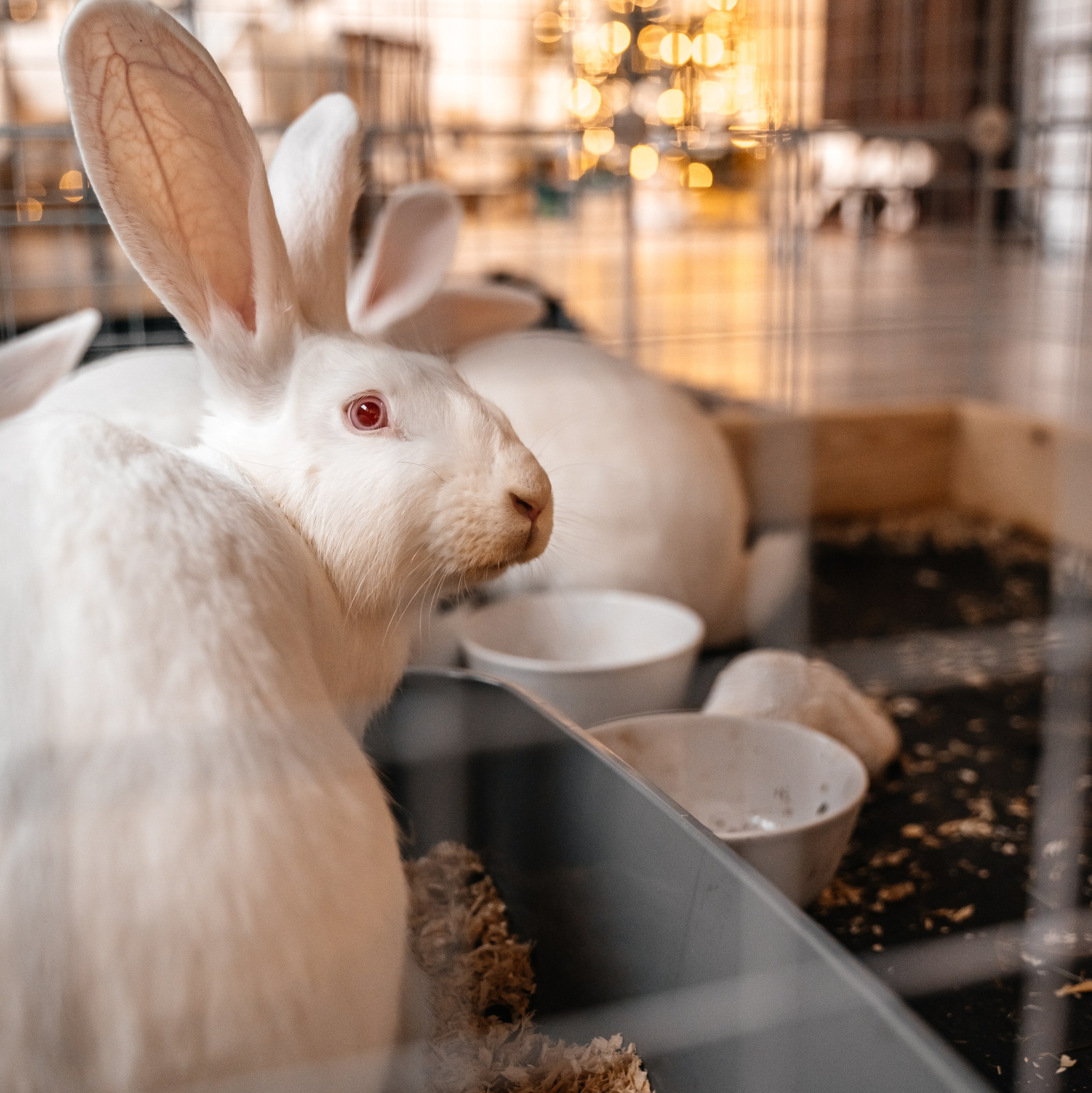 О нас. Фотостудия Молоко в Минске