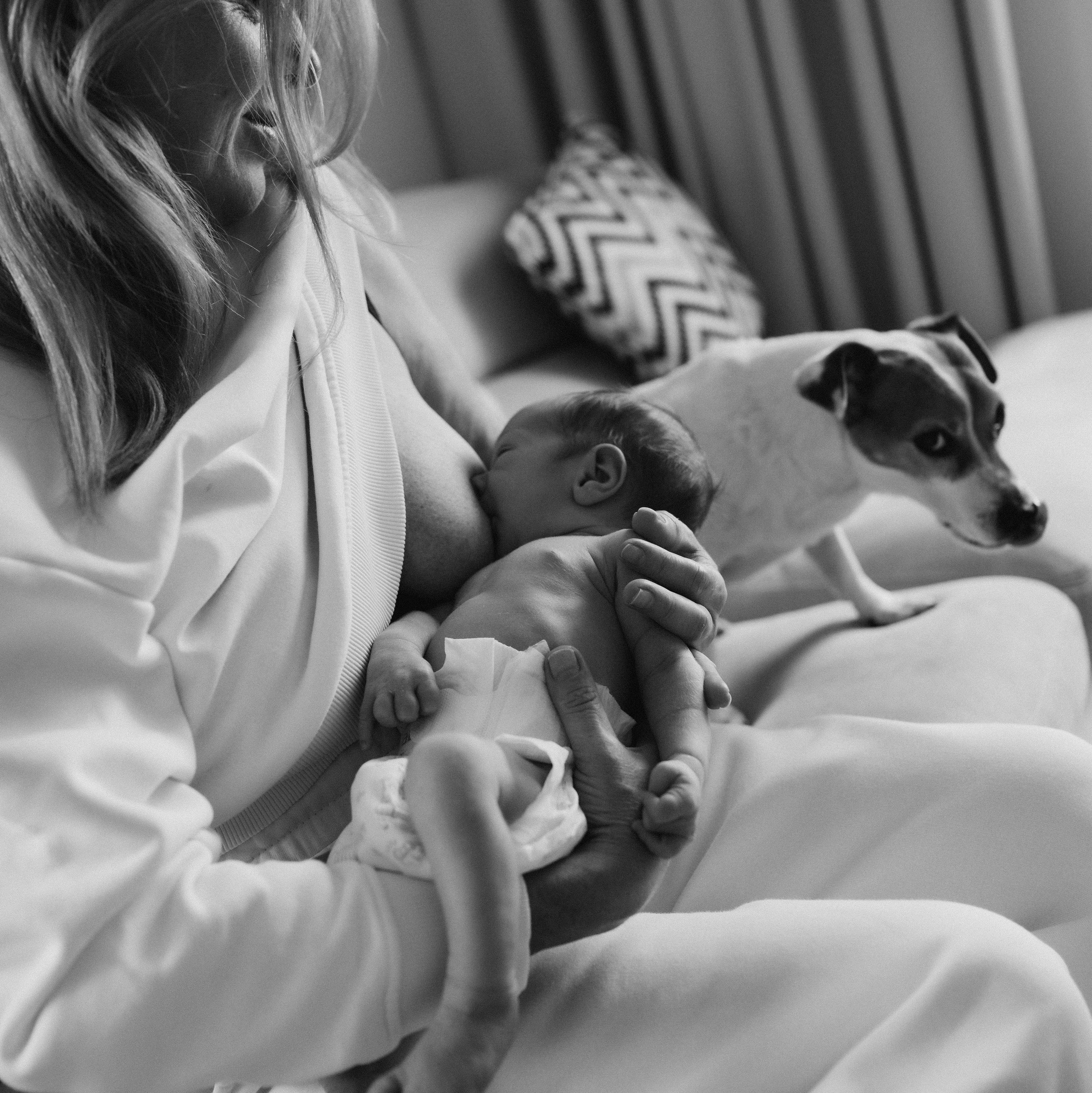 Цены. Женский и семейный фотограф в Москве и Красногорске Светлана Левченко