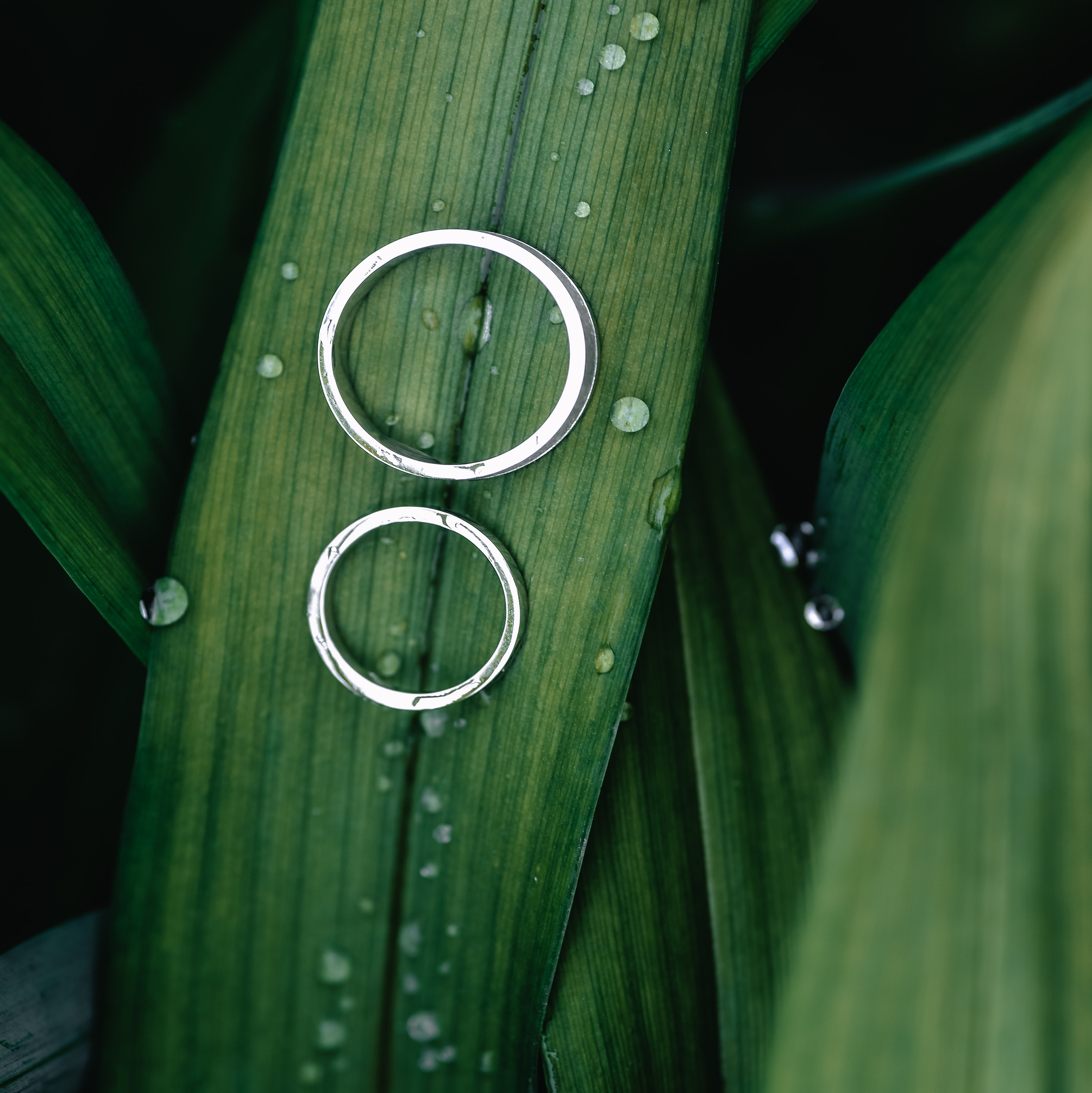 Свадебный и семейный фотограф Владивосток