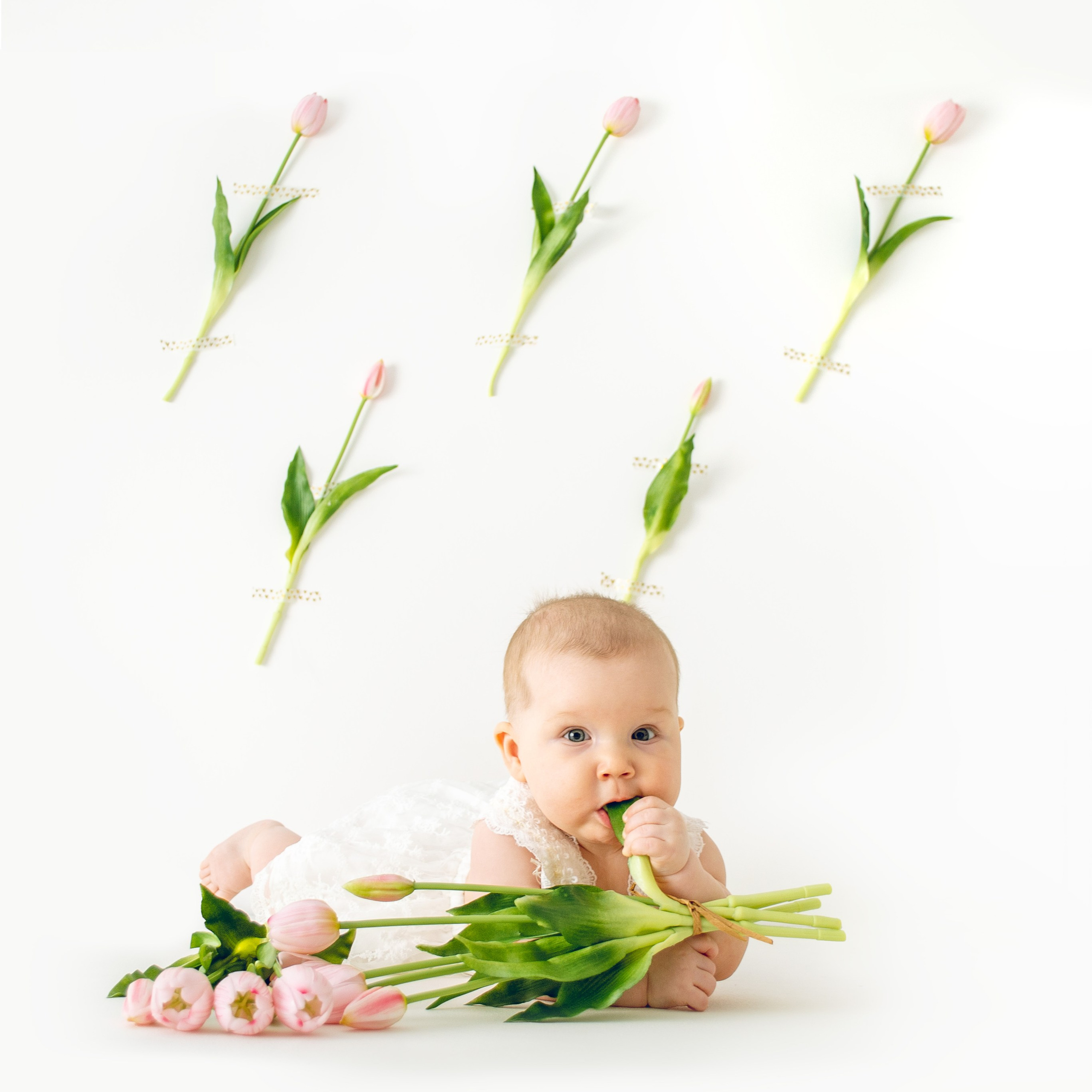 Услуги. Фотостудия LITTLE STORY детские семейные съемки в Уфе