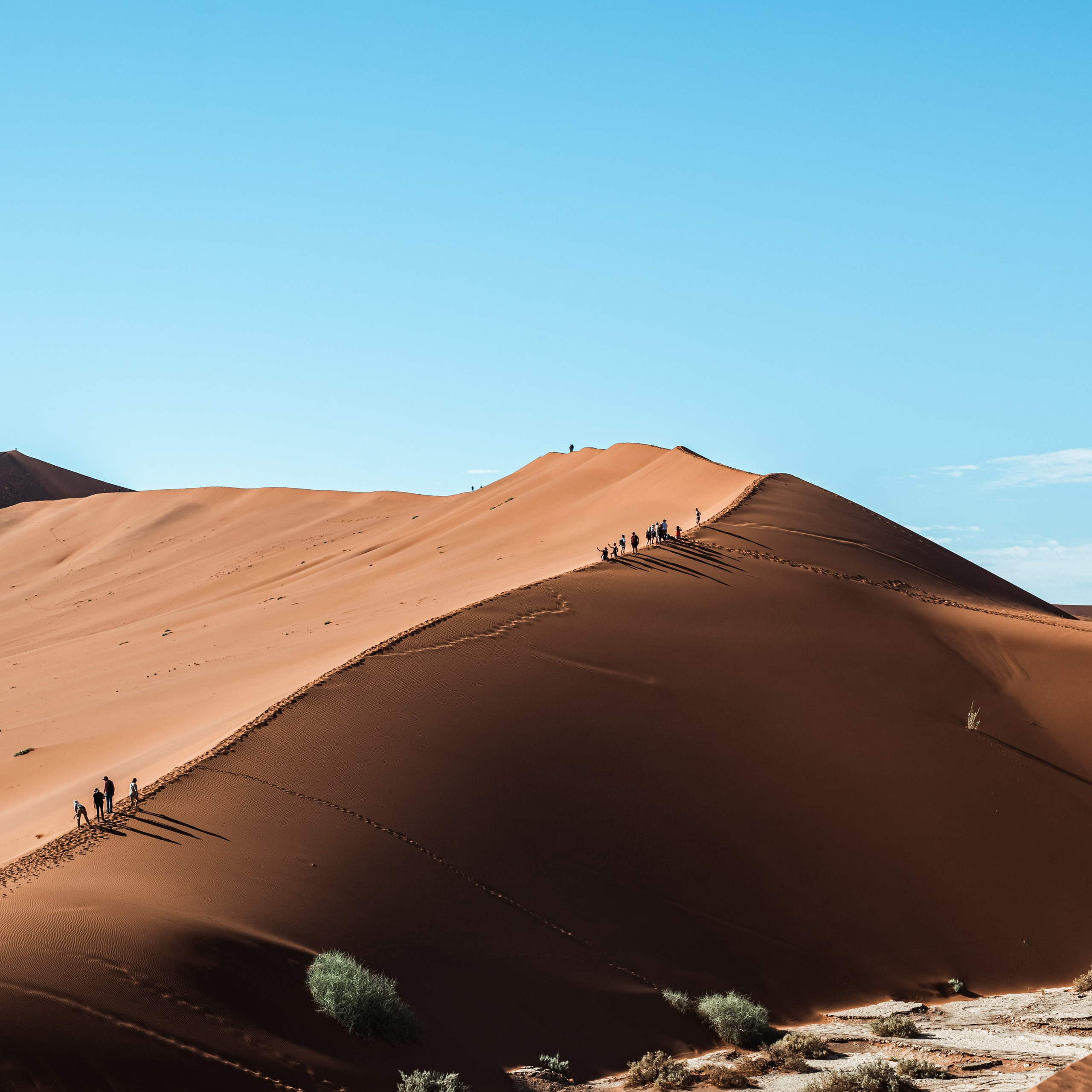 Выставки. Фотограф Дарья Сафонова Dashulkacss