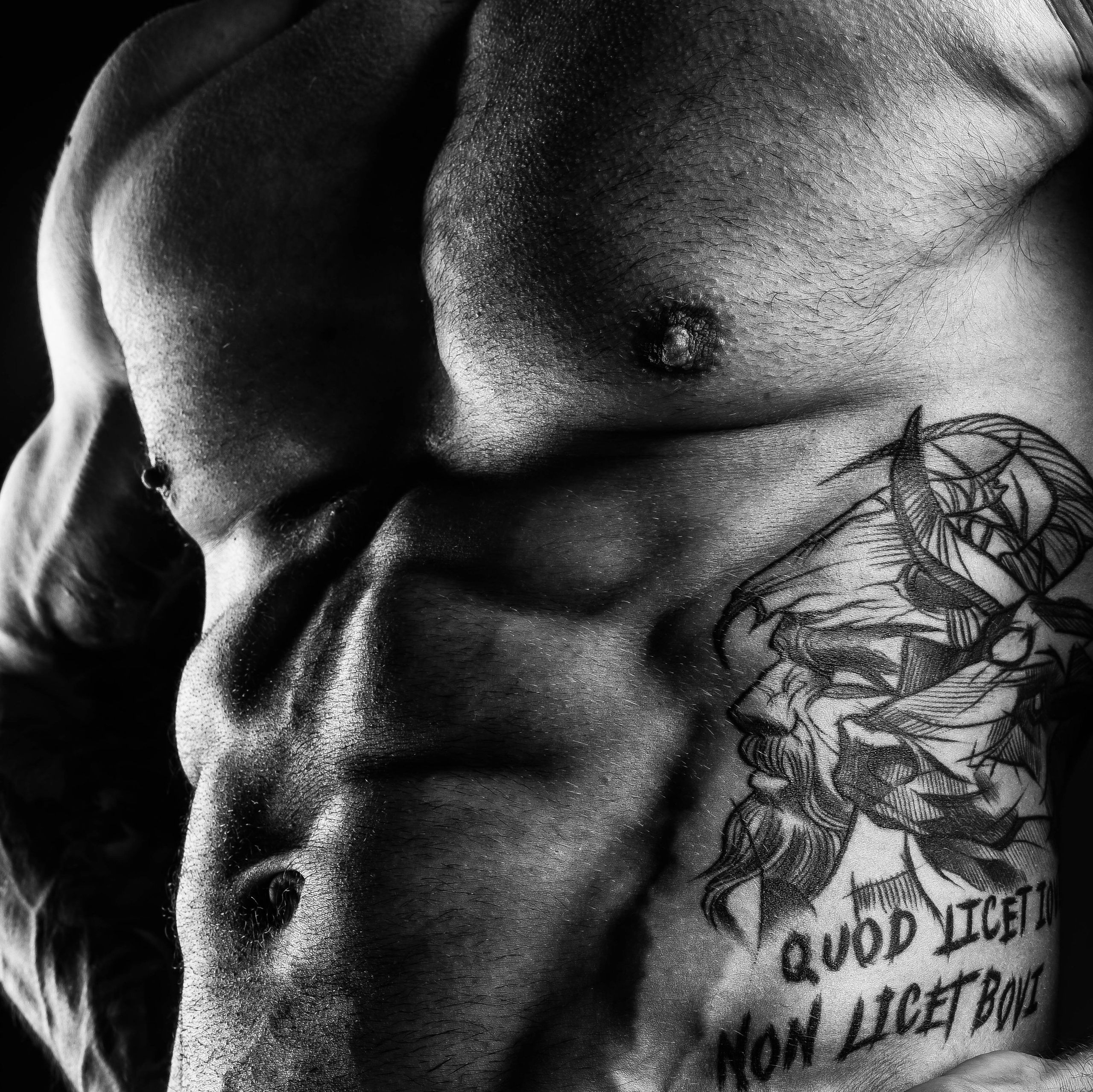 Dizmoralka production