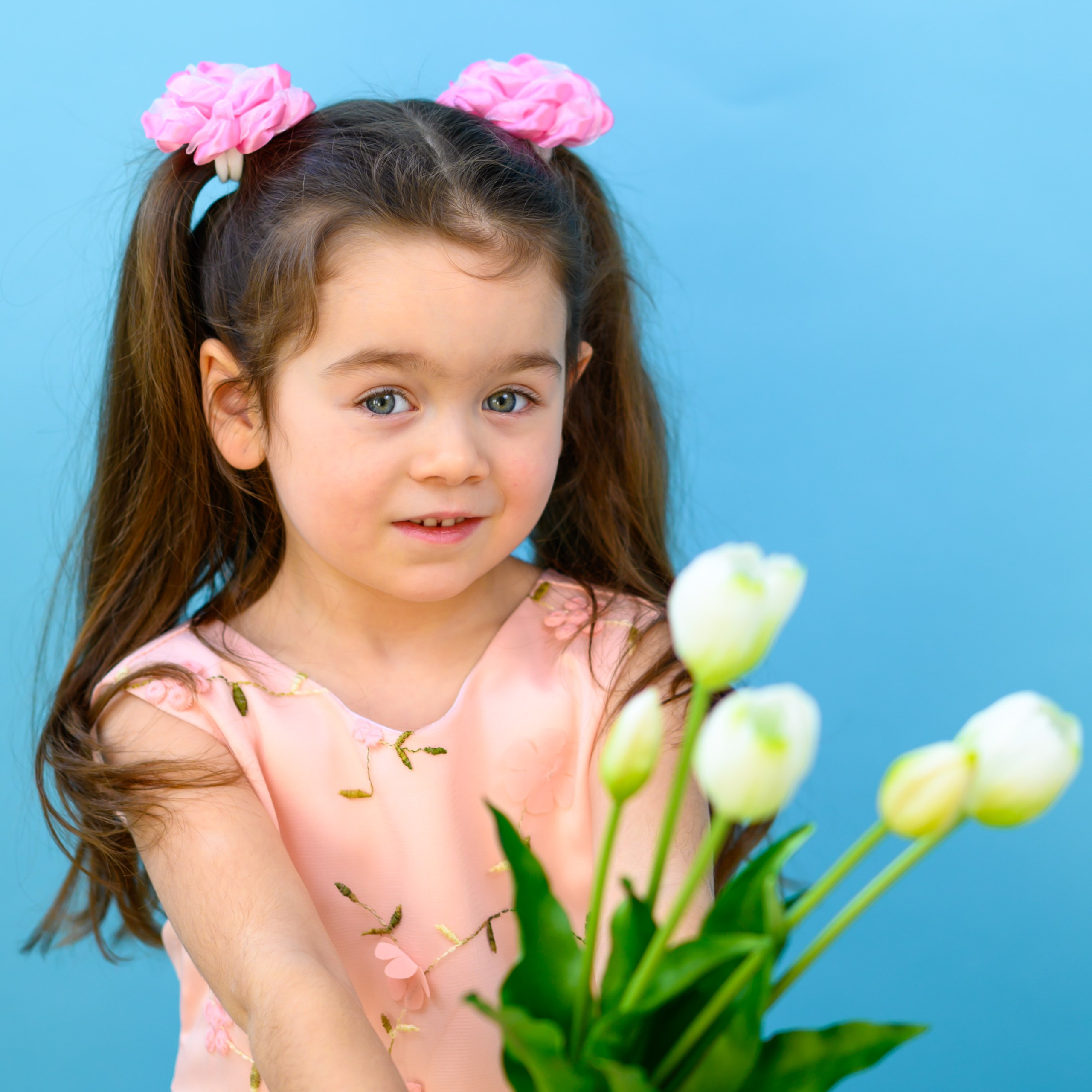 Сад Михеева. Выпускные альбомы в Туле и Тульской области для школ и детских садов