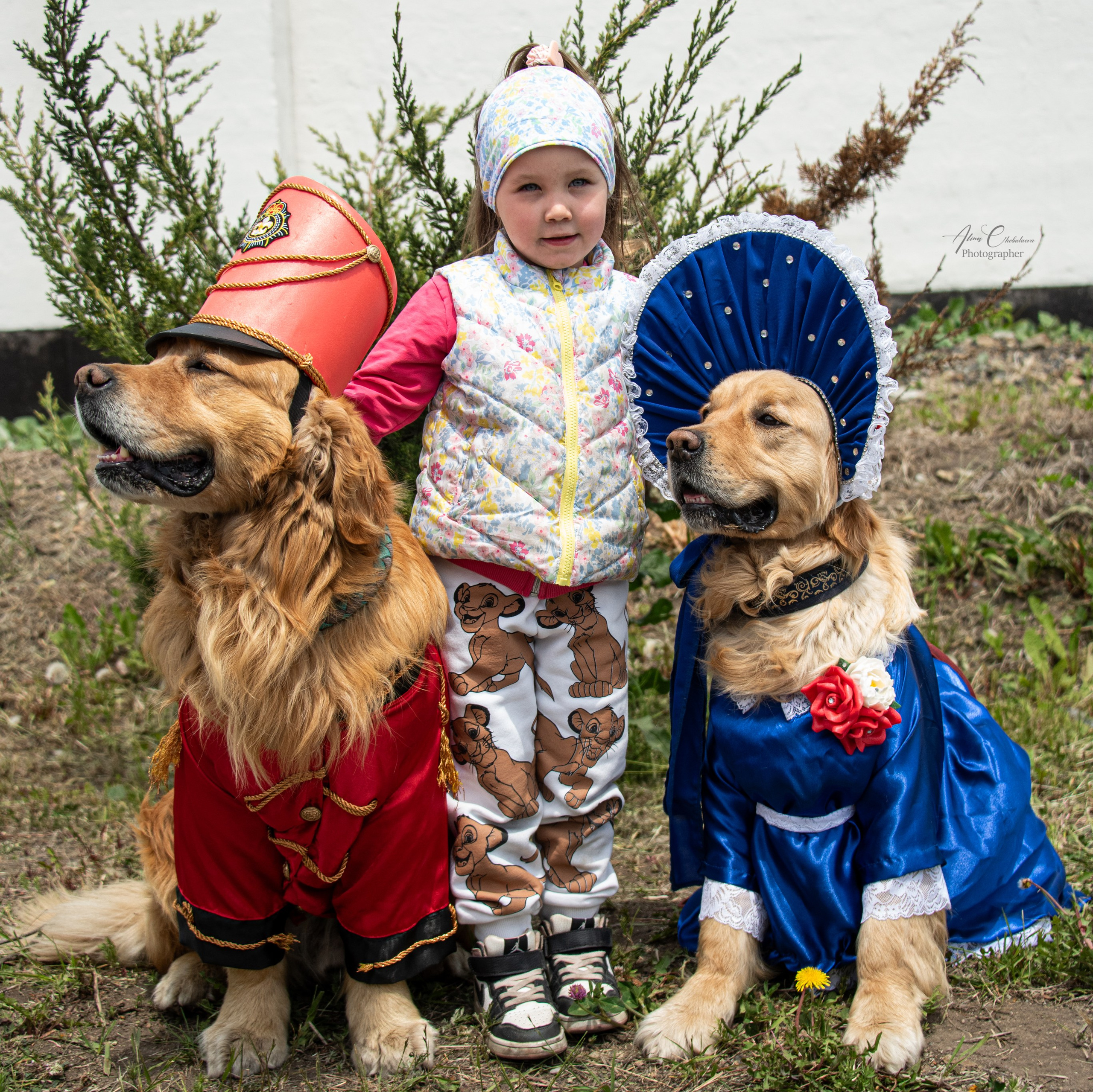 Прайс. Фотограф — анималист Алина Чебулаева г. Находка