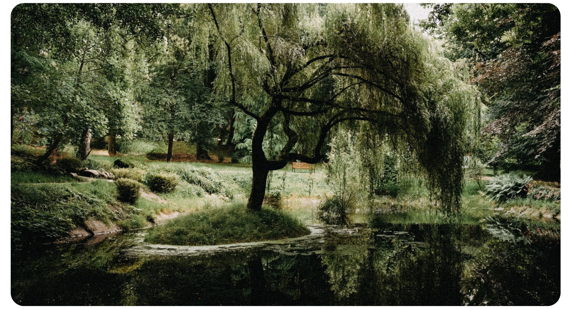 Калининград 3. Фотограф из Москвы — DASHA NOVA | Авторская фотография в разных жанрах