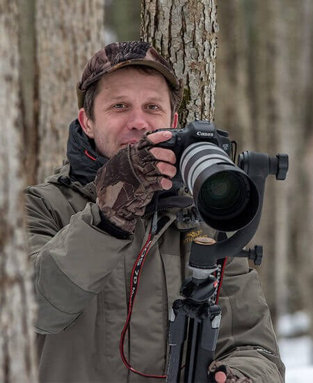Фототур по съемке зубров в заповеднике “Калужские Засеки”