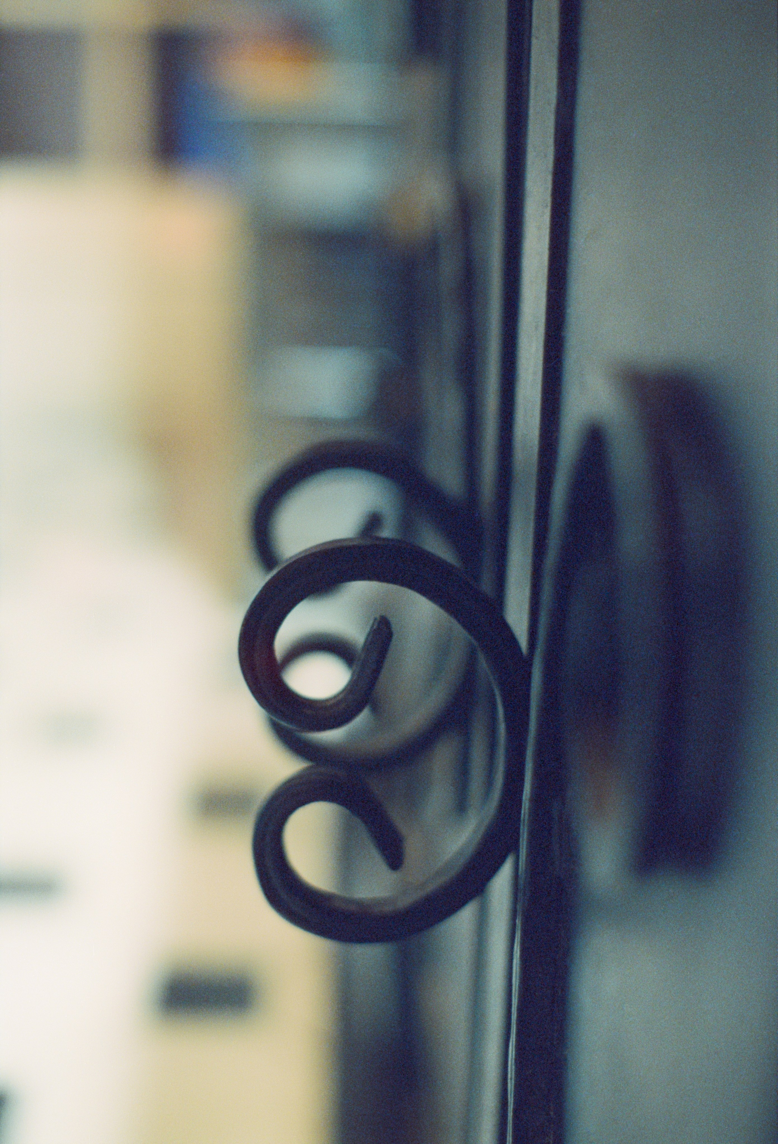 Выборг 2024. Стилист и плёночный фотограф Анастасия Шлокова в Санкт-Петербурге и Москве