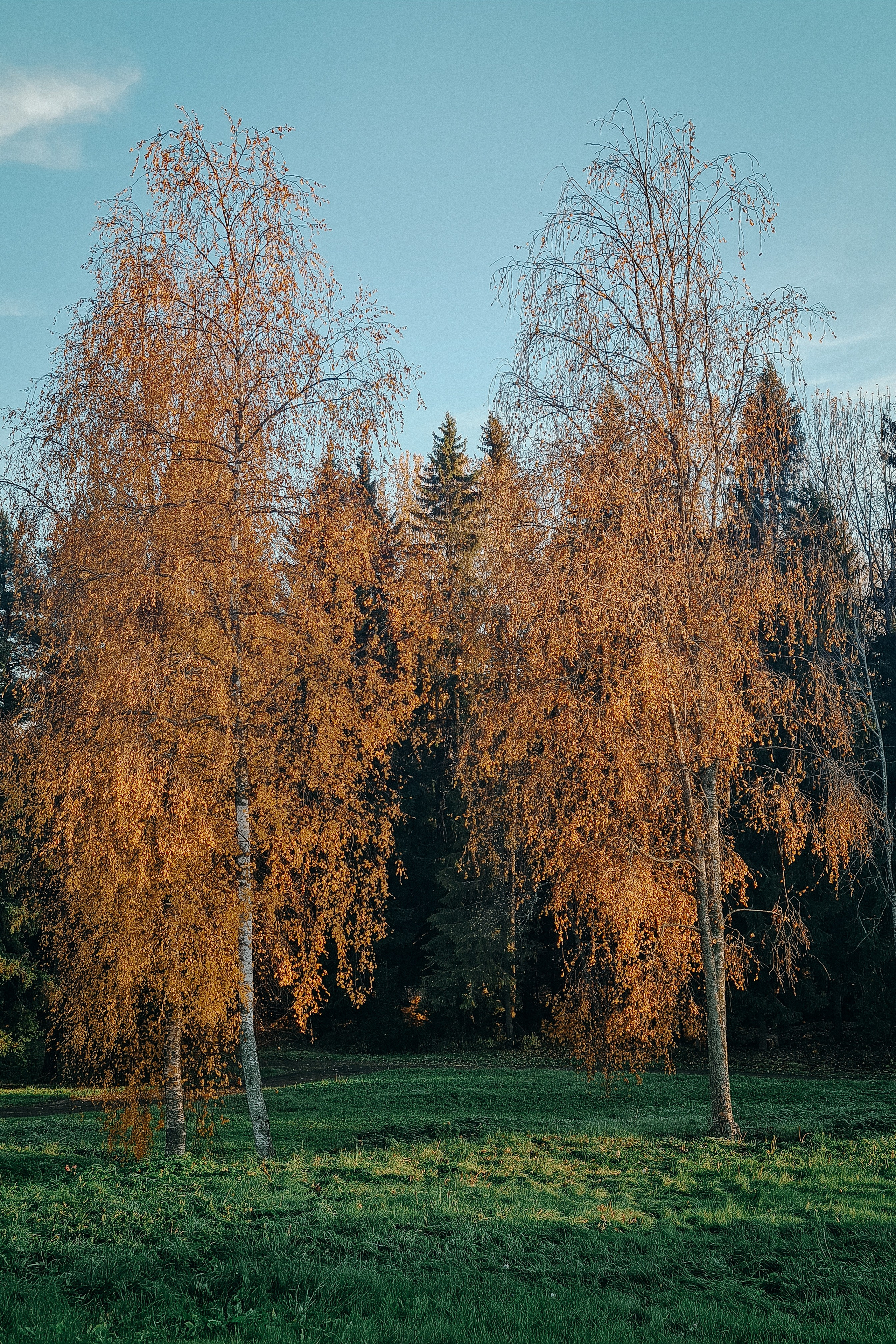 Осенняя поездка в Карелию. Свадебный фотограф в Санкт-Петербурге Венера Ахметова