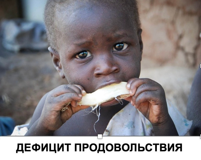 Клеточное мясо. Главная